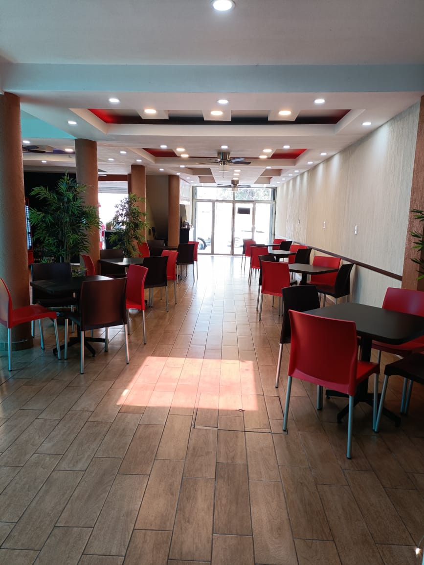 El Guerrero Dragon image 1