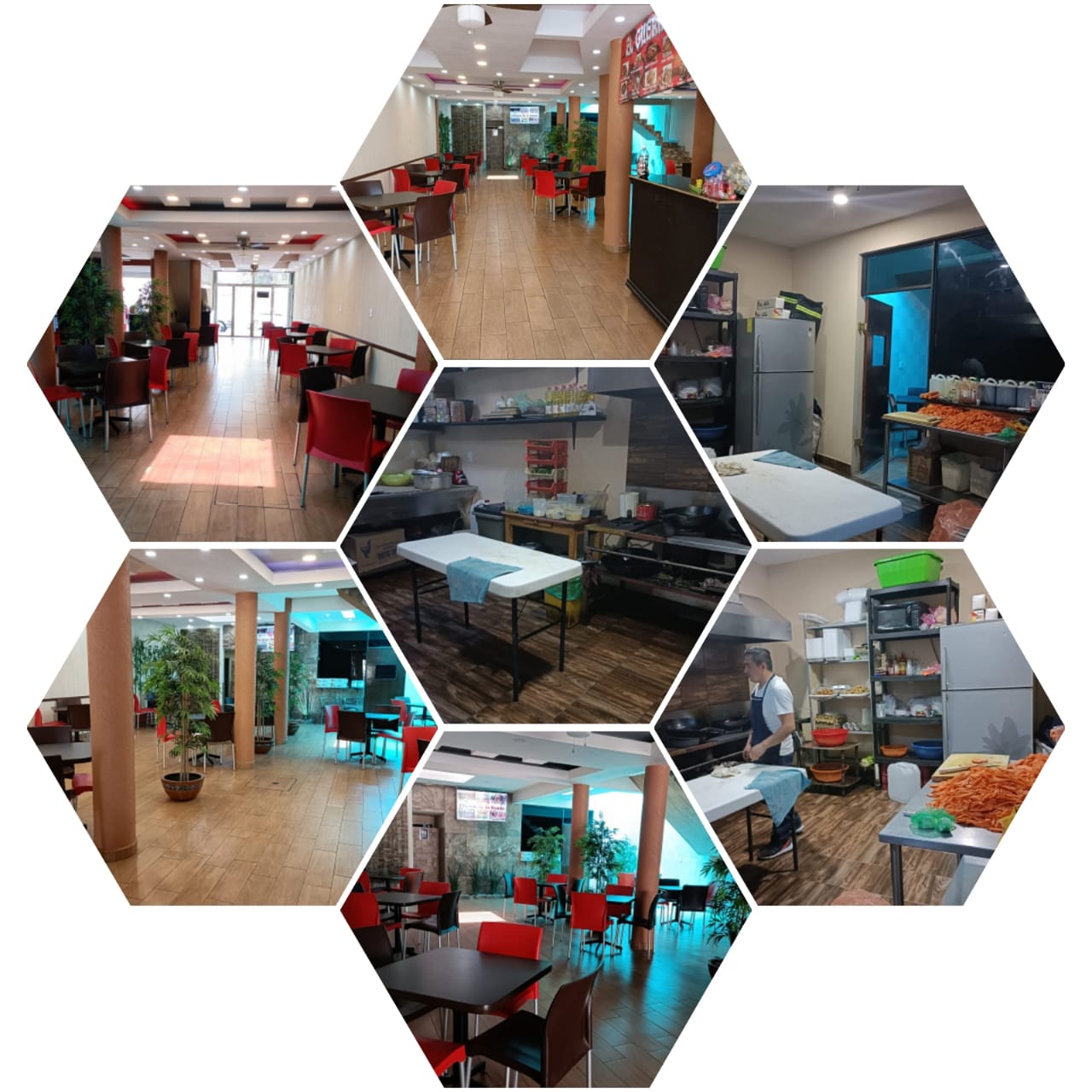 El Guerrero Dragon image 7