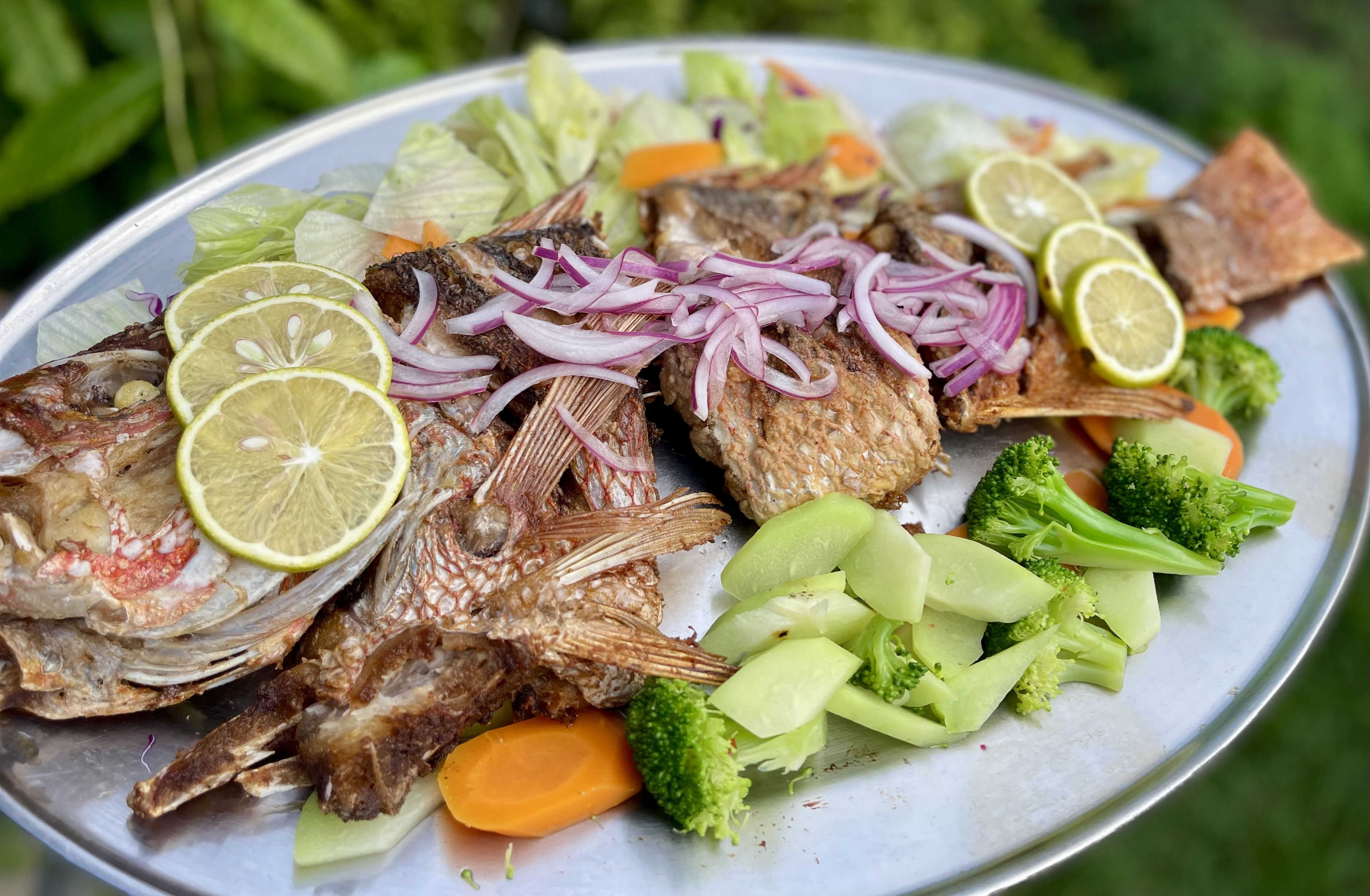 El Gran Güero Palancas image 2