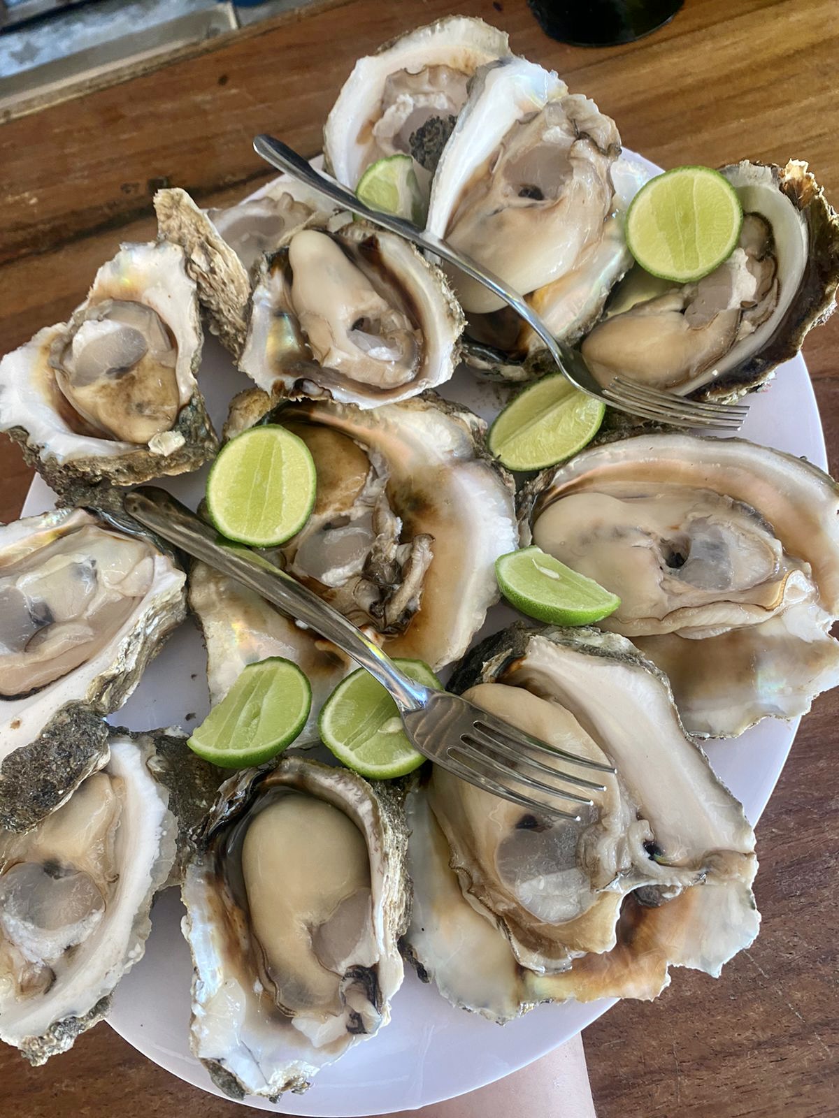 El Gran Güero Palancas image 4