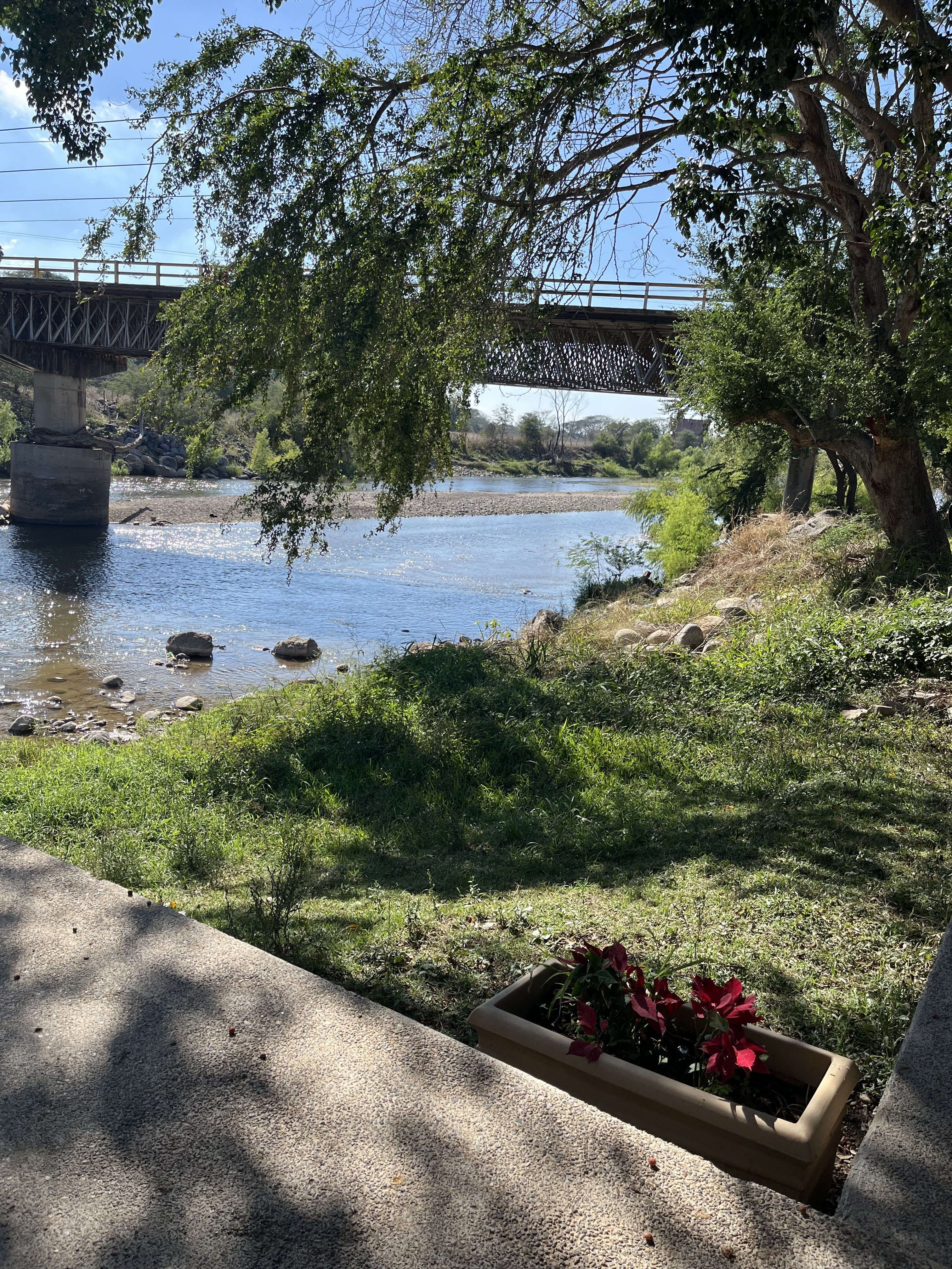 El Gran Güero Palancas image 6