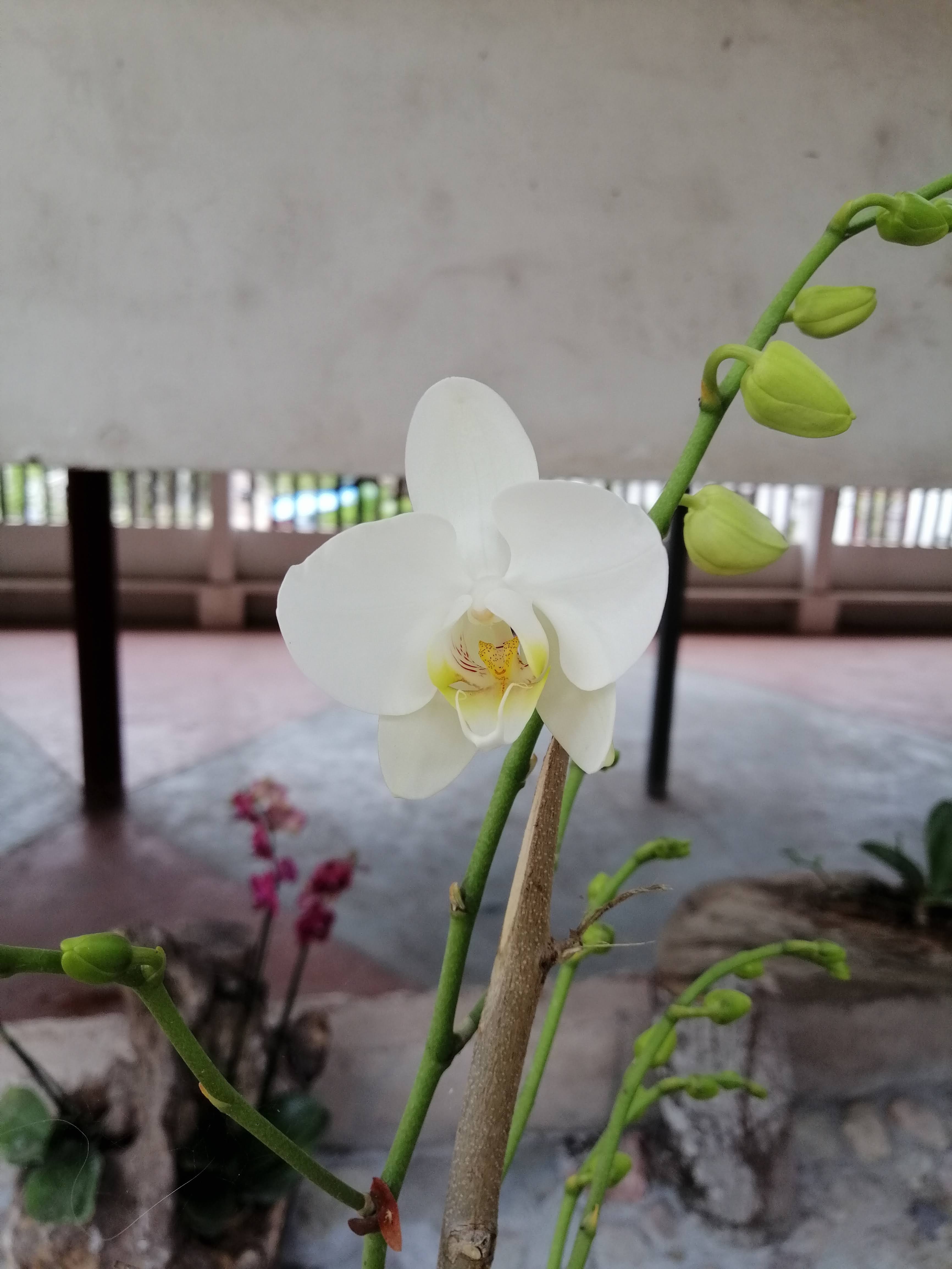 Restaurante ADOVE image 8