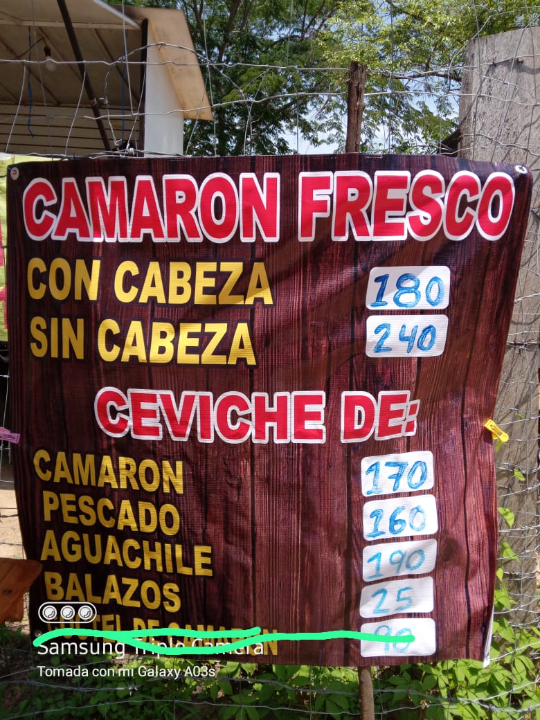 MARISCOS y CAMARÓN FRESCO "MI MORE" image 9
