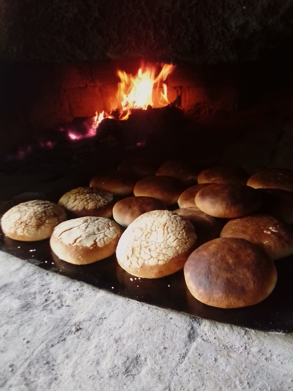 Panadería y Pizzería La Morenita image 5