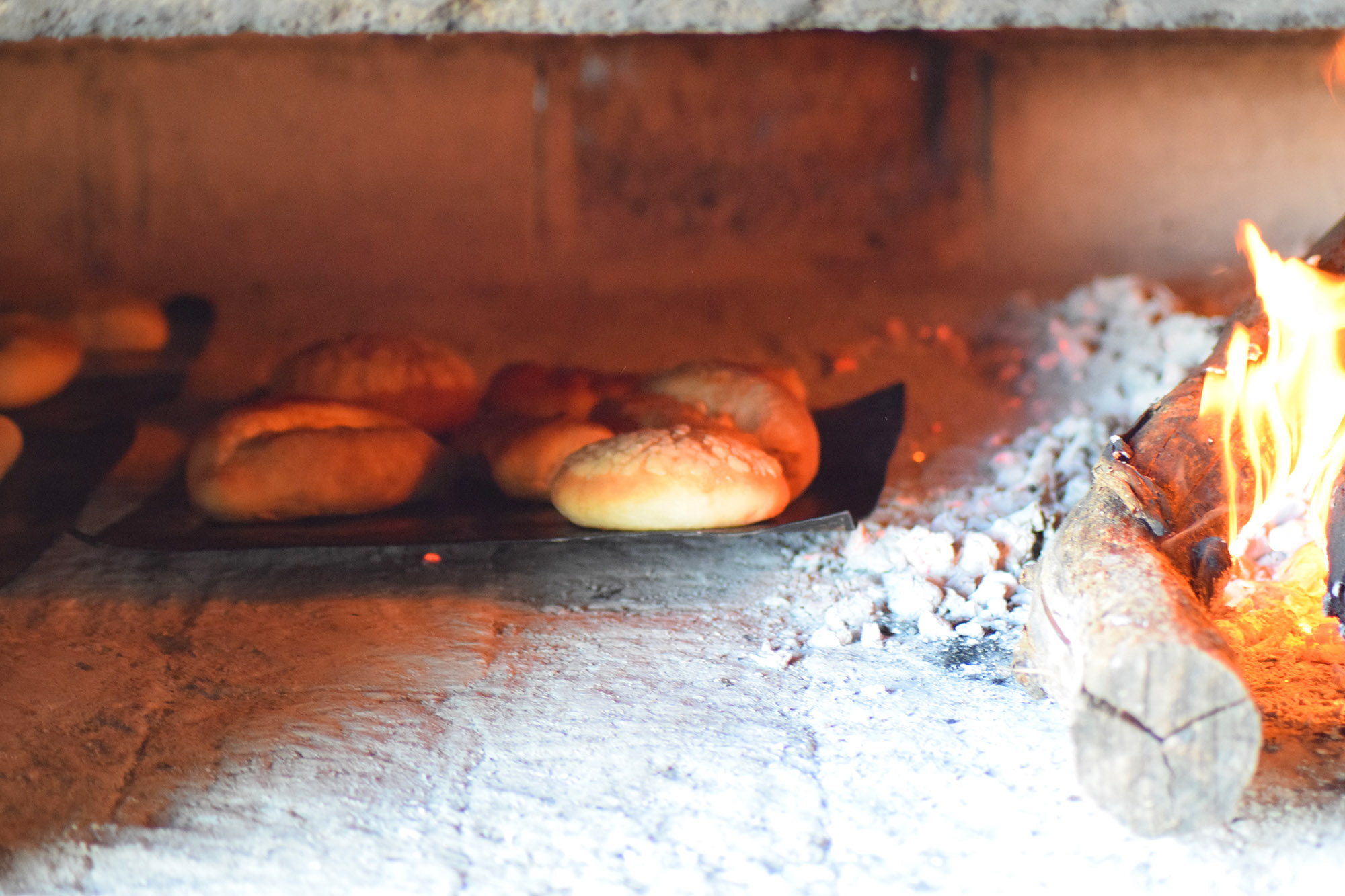 Panadería y Pizzería La Morenita image 6