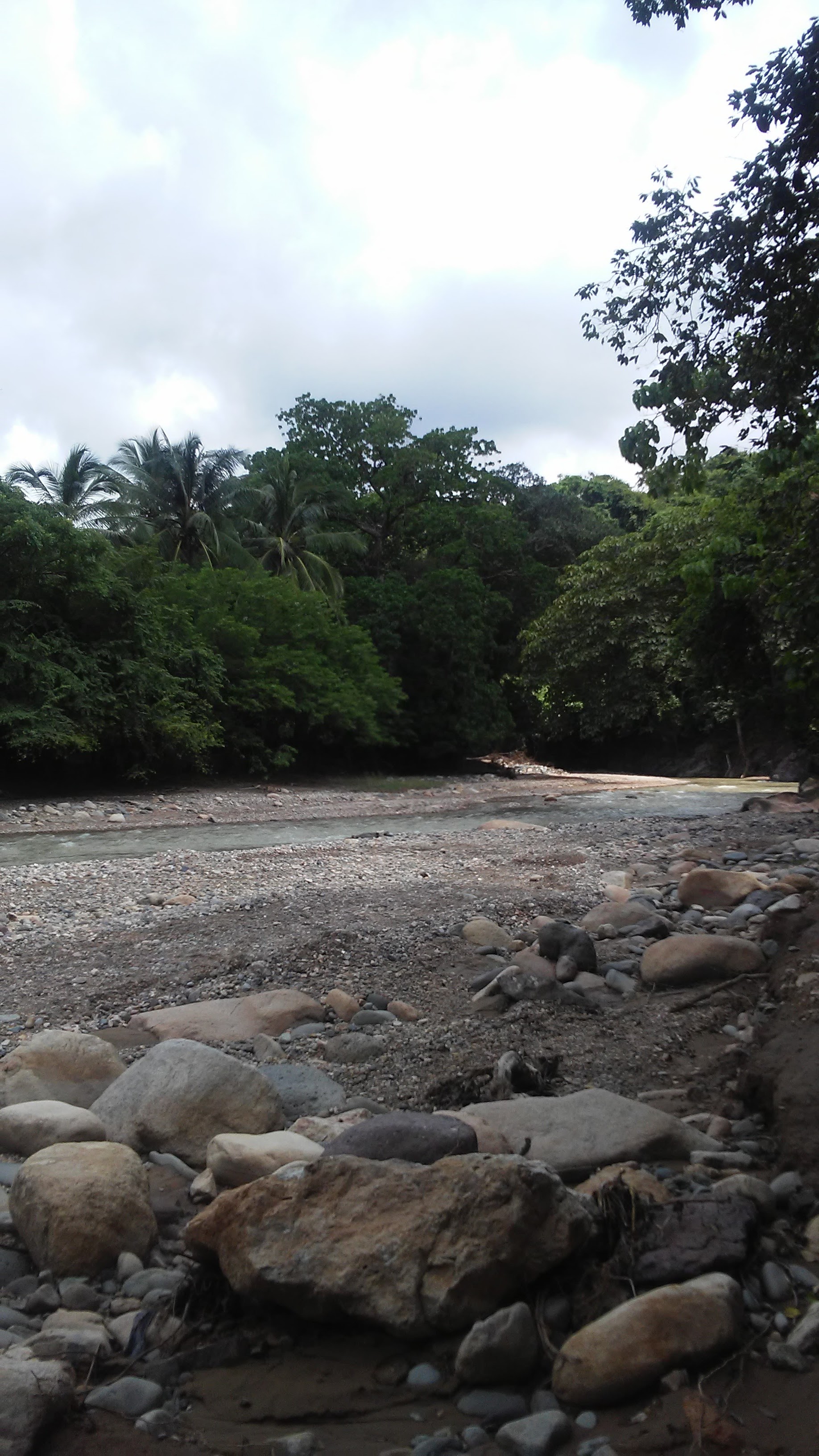 Panadería y Pizzería La Morenita image 9