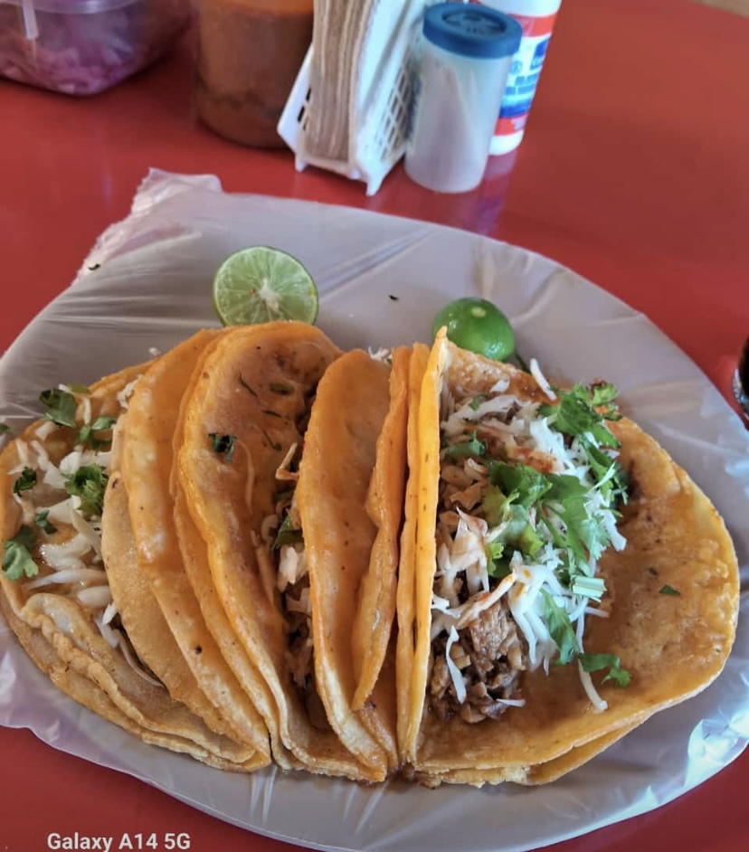 BIRRIERIA COCOYA image 3