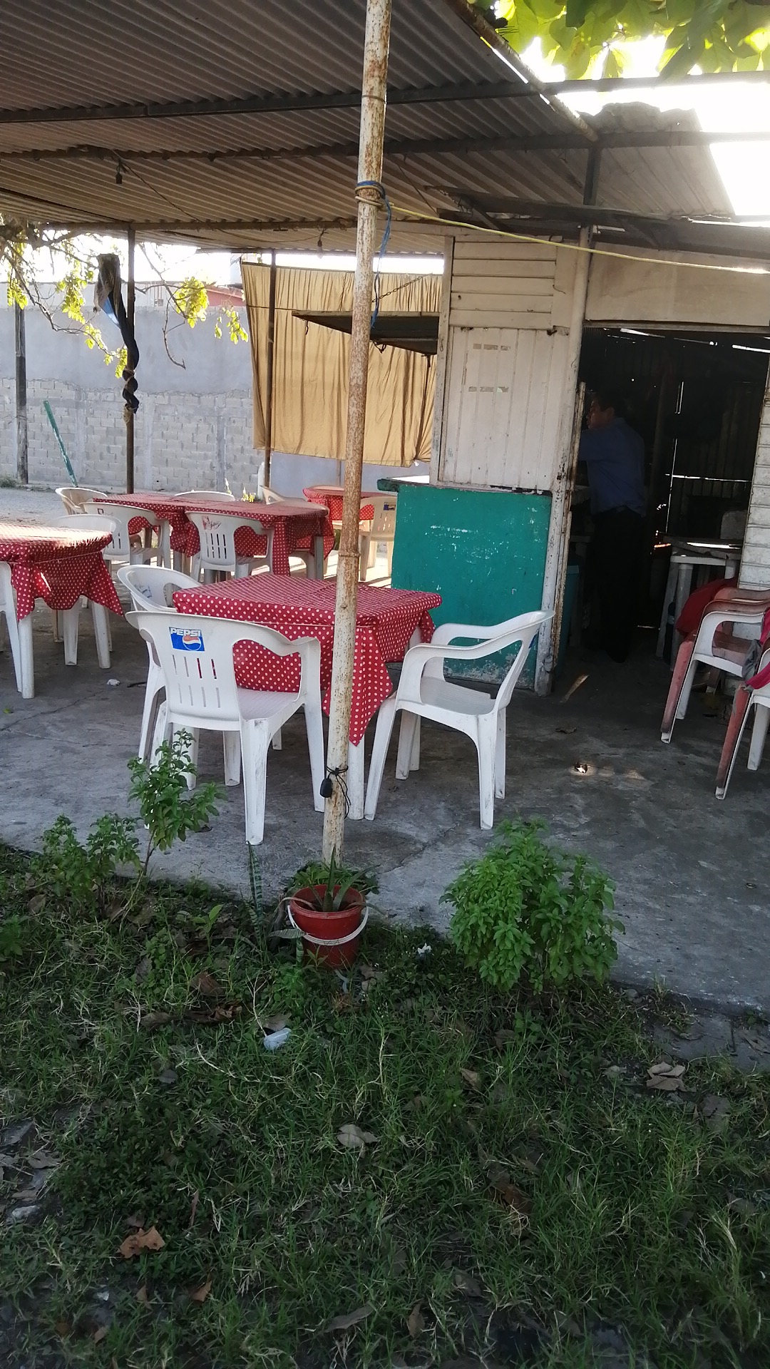 Pescados y Mariscos "Erick" image 1