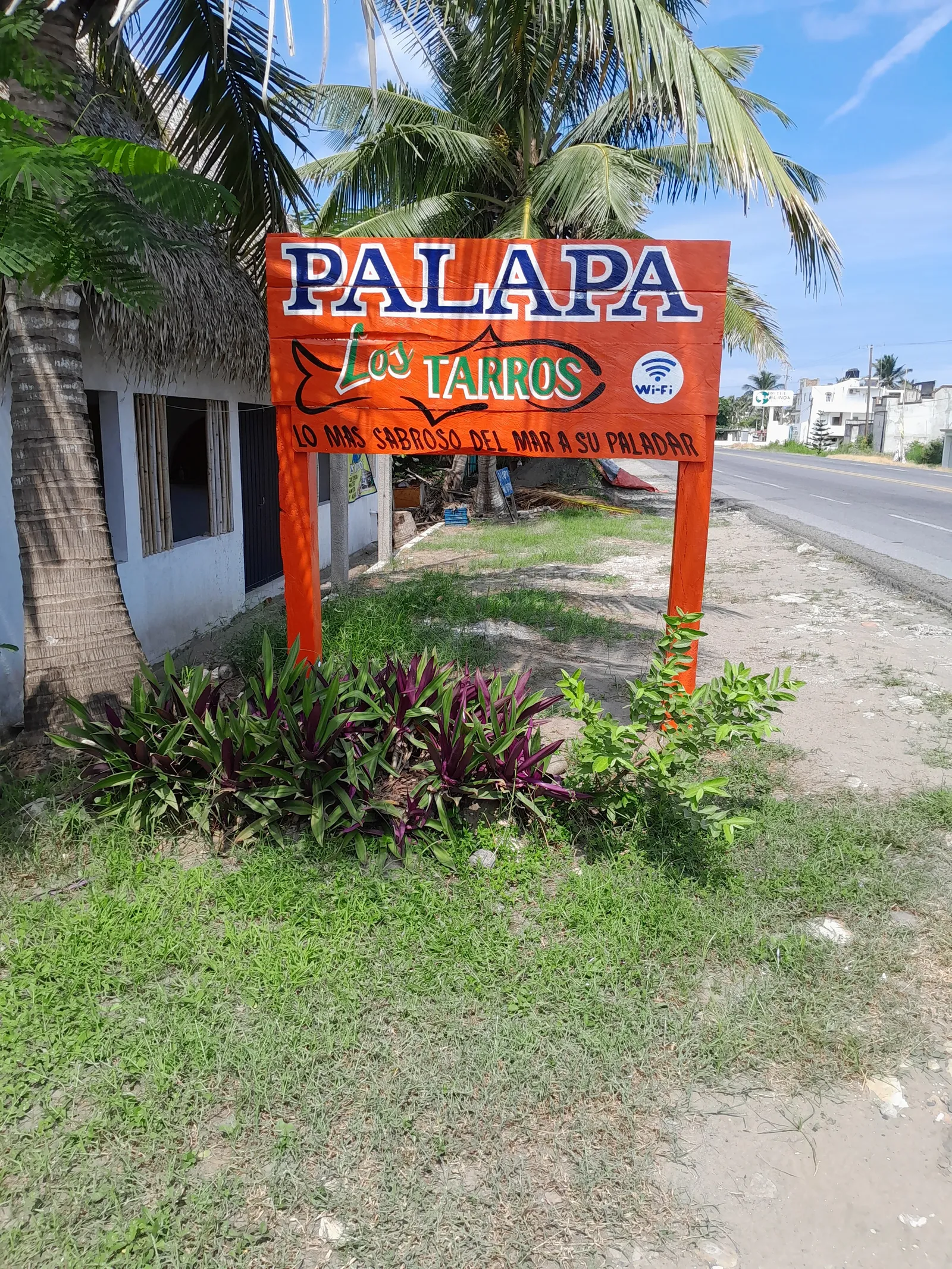 Palapa los TARROS image 3