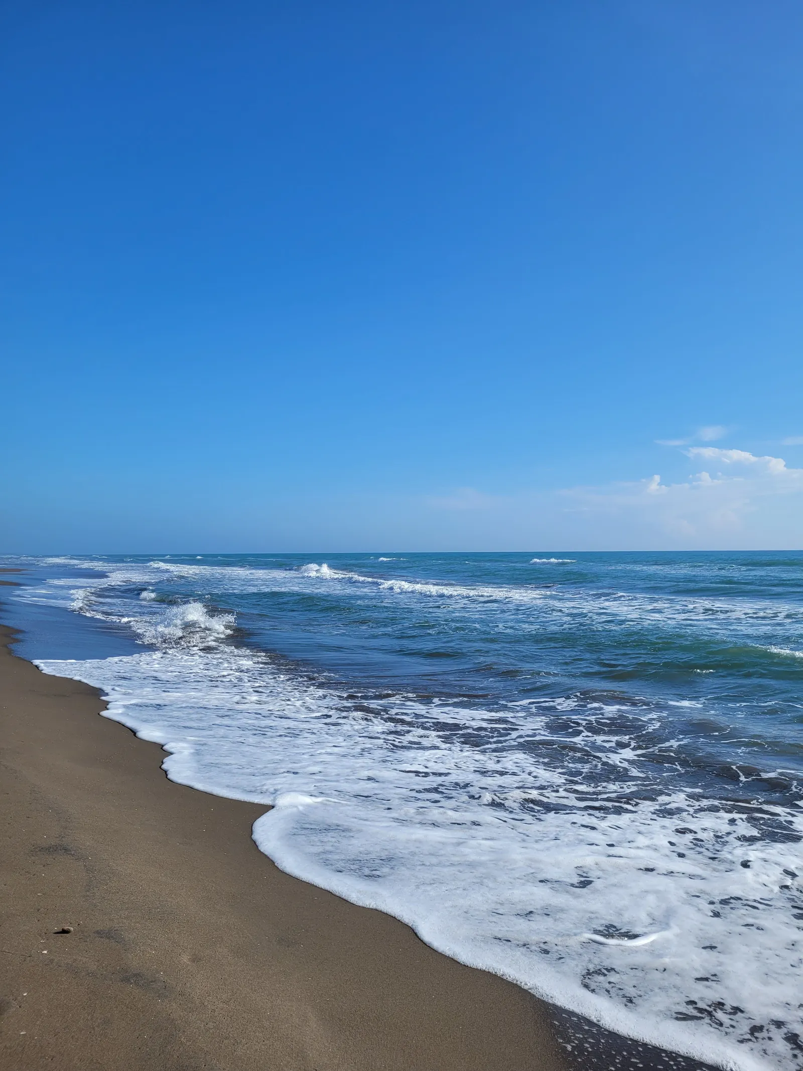 Palapa los TARROS image 6