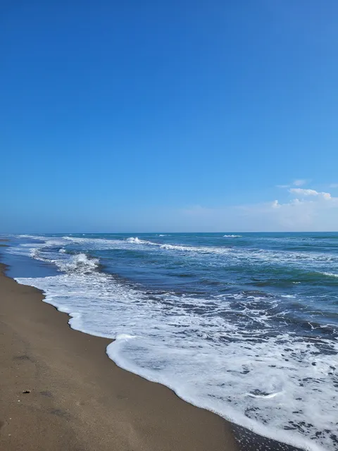 Palapa los TARROS image 6