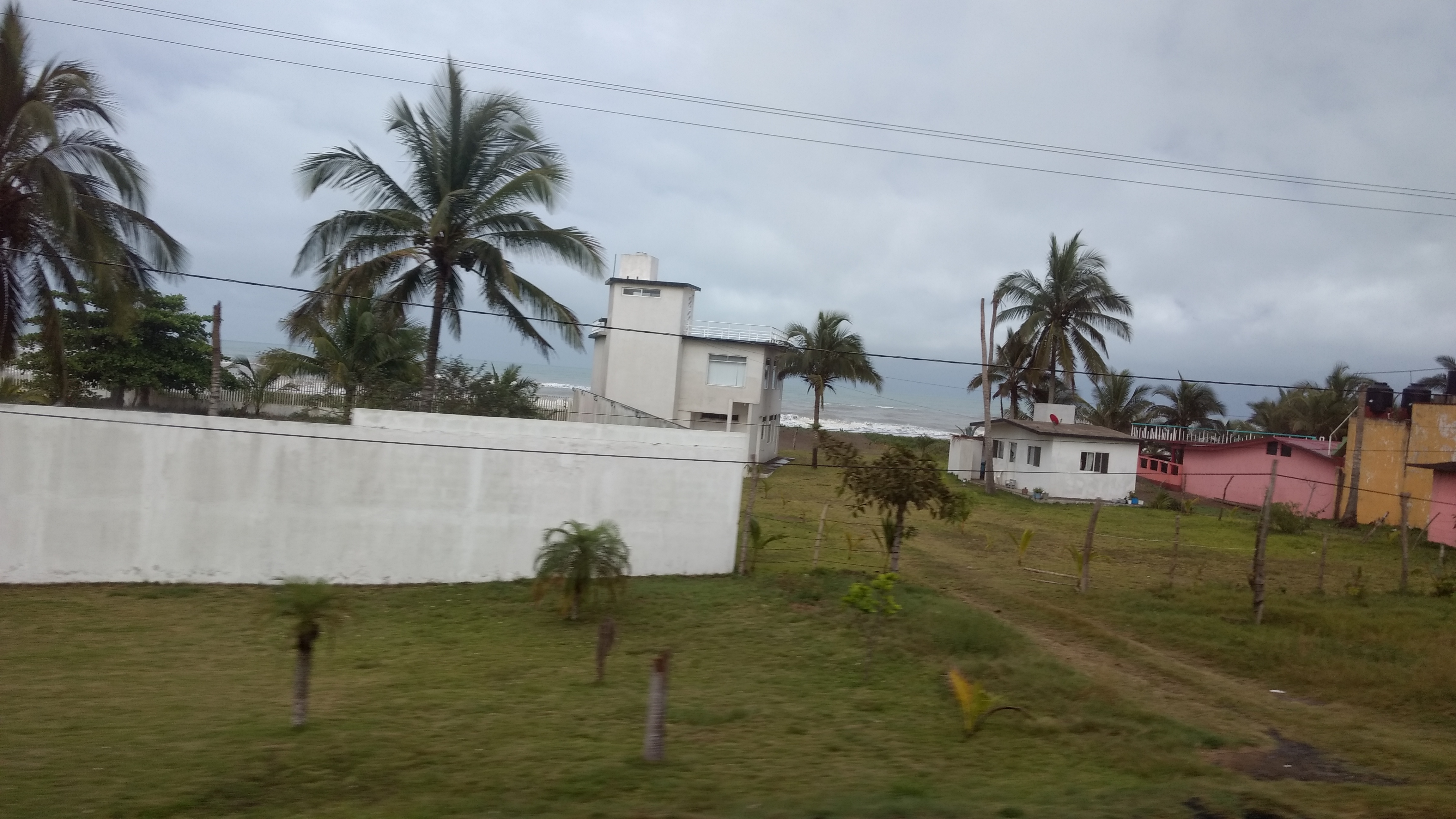 Palapa los TARROS image 9