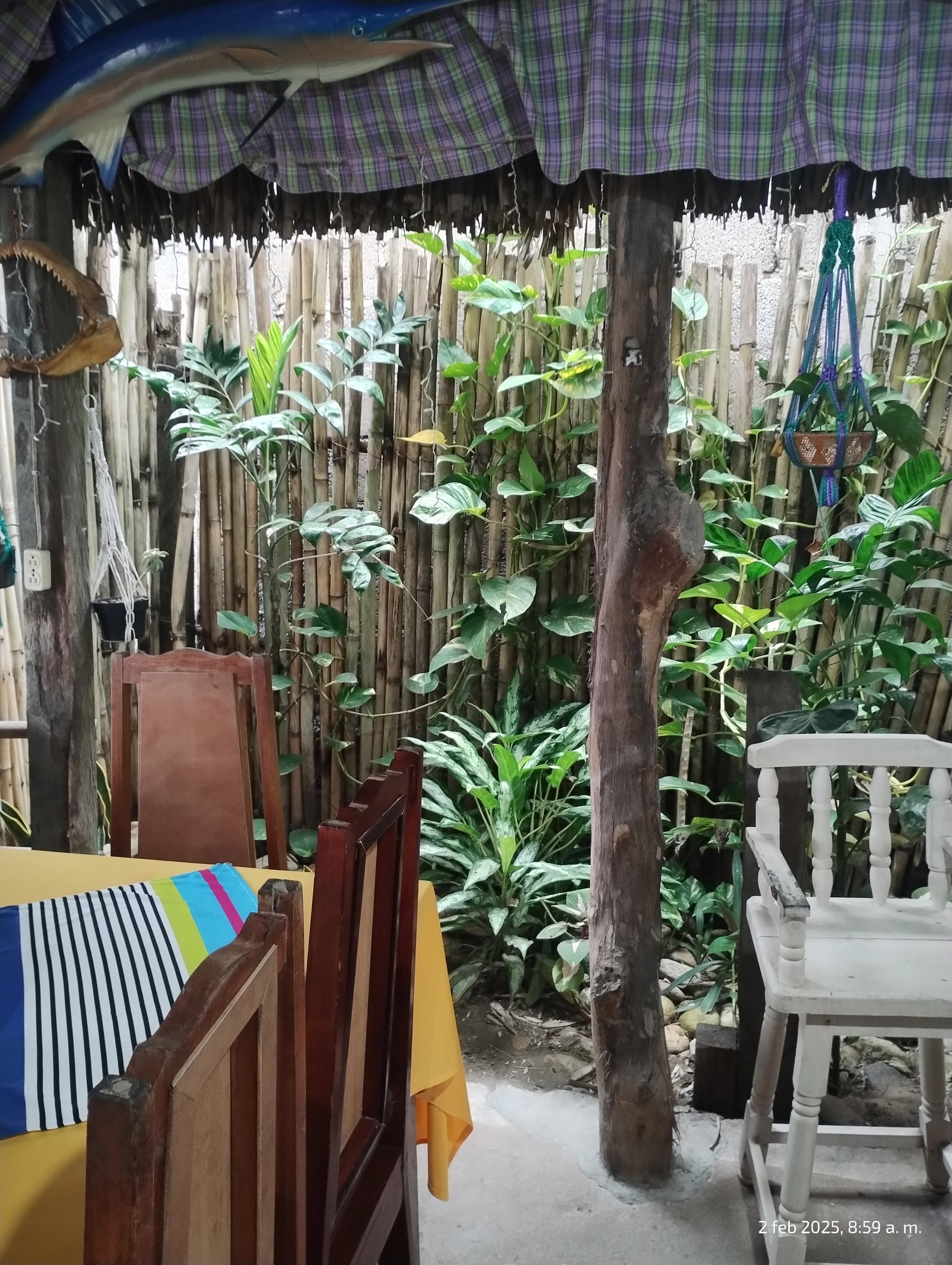 Palapa los TARROS image 10