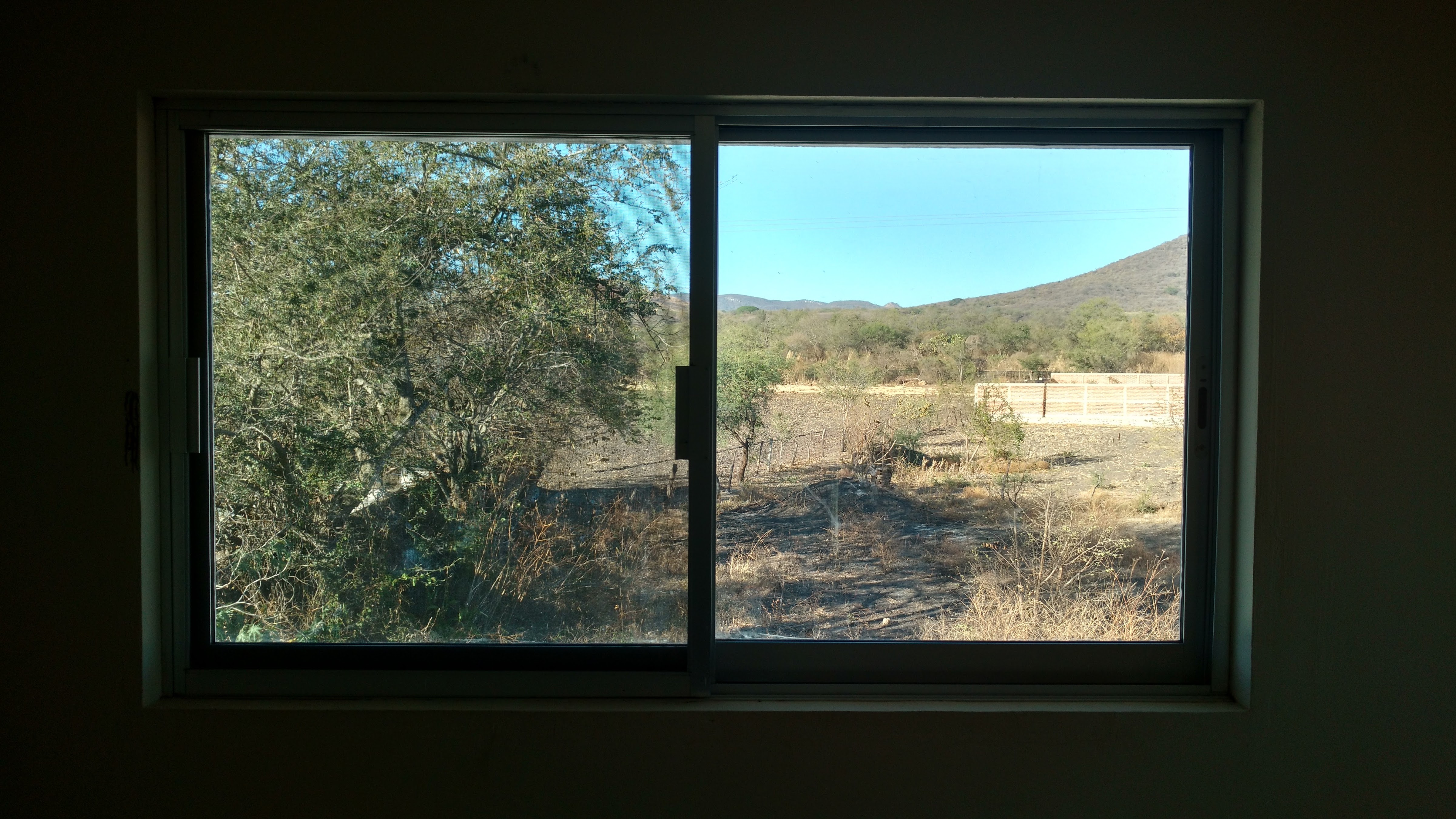 TACOS PANCHON image 5