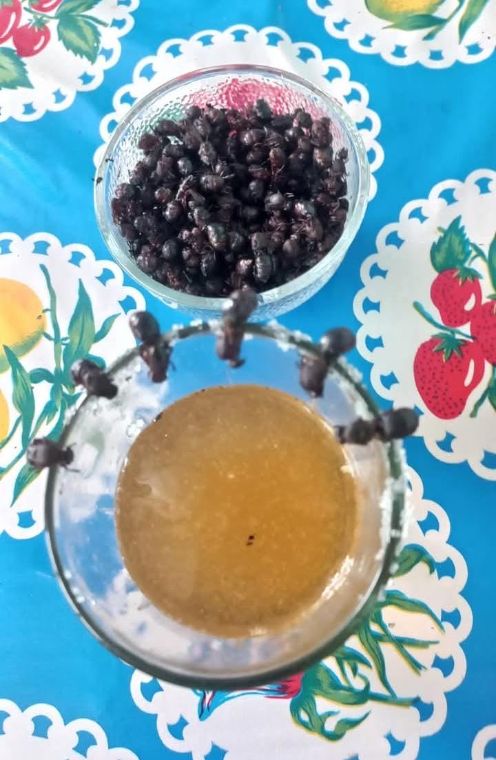 CASETA COMEDOR "TIA VITA" image 1