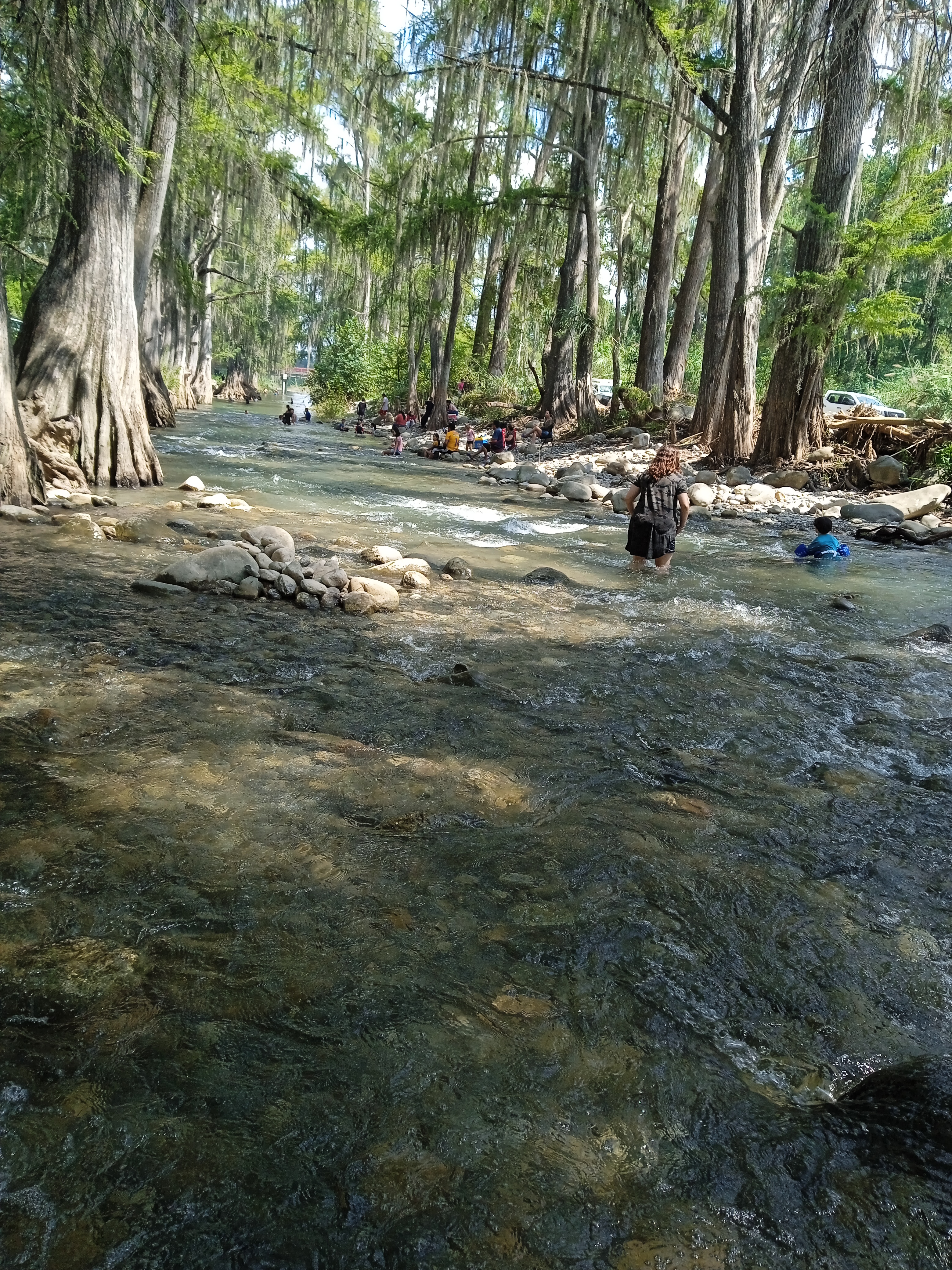 LAS COMADRES image 6