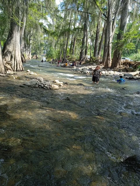 LAS COMADRES image 6