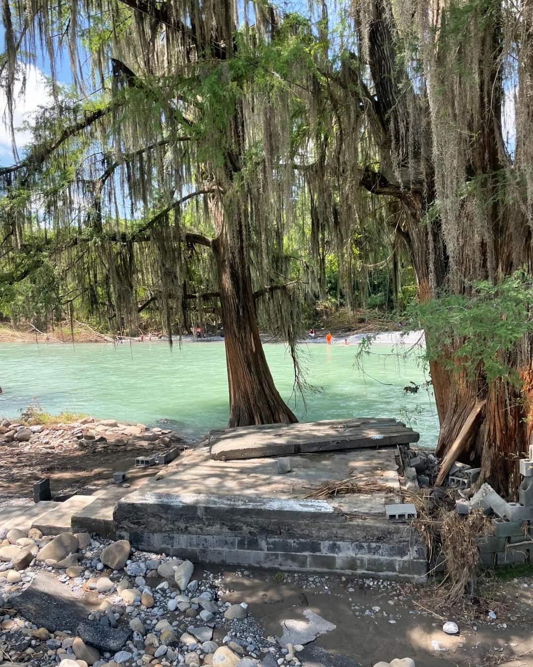 LAS COMADRES image 10