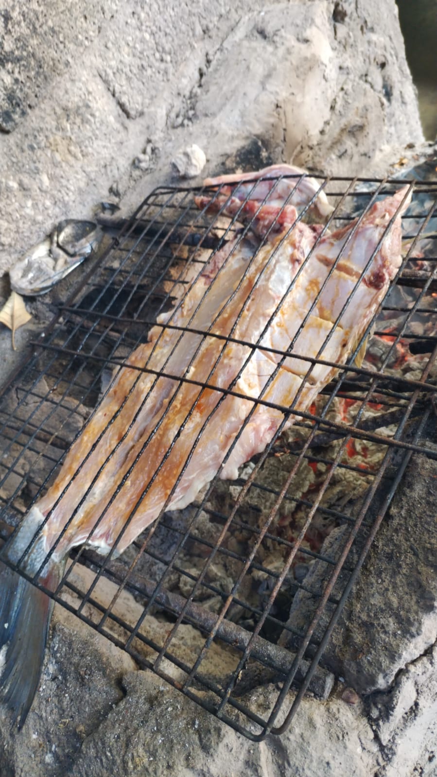 Pescados zarandeados “el gringo" image 1