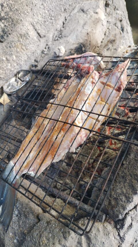 Pescados zarandeados “el gringo" image 1