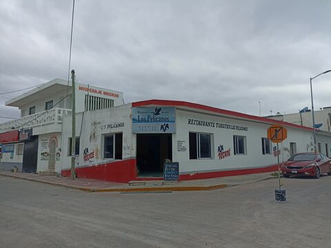 Los Pelicanos image 4