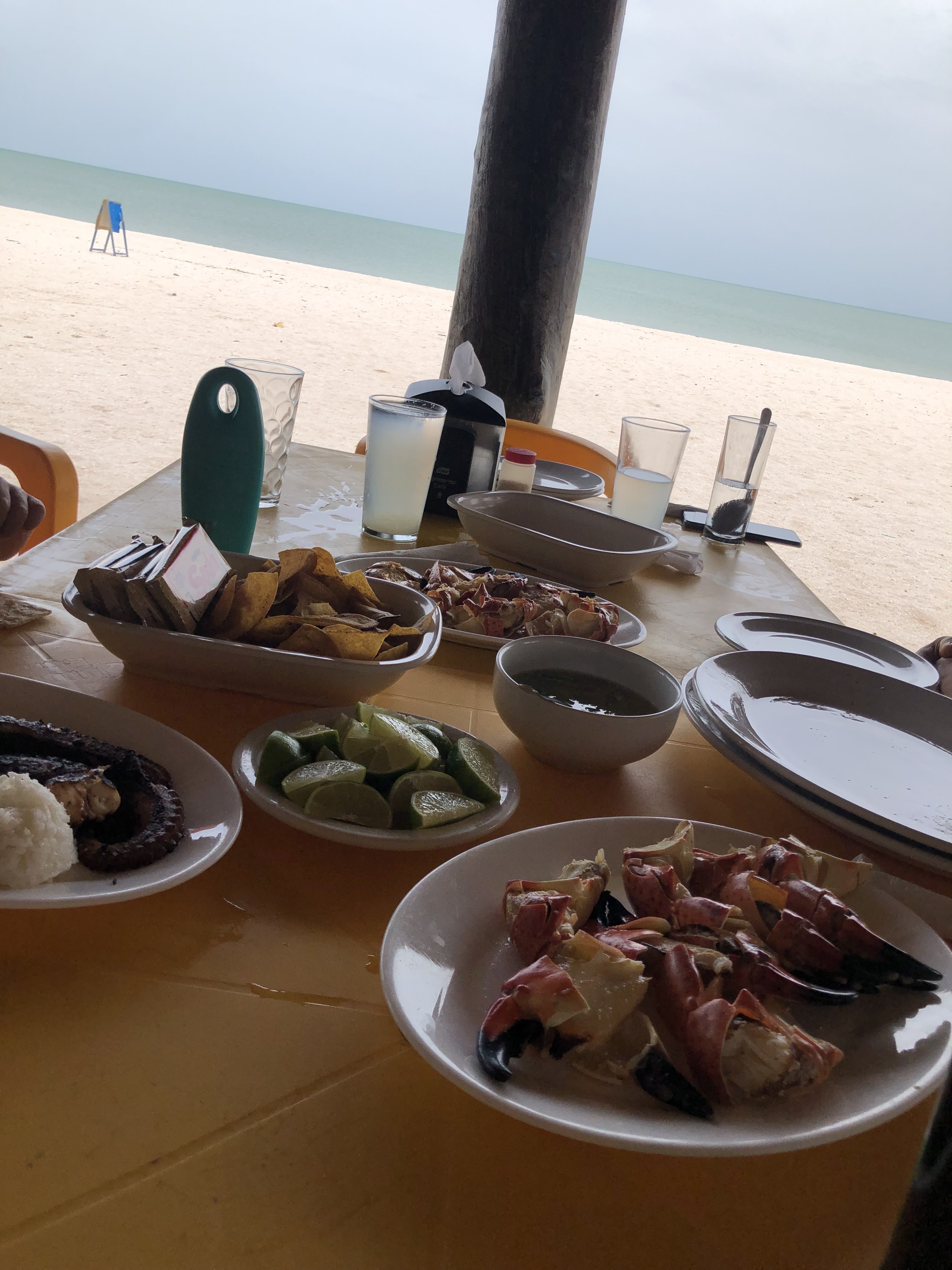 Los Pelicanos image 6