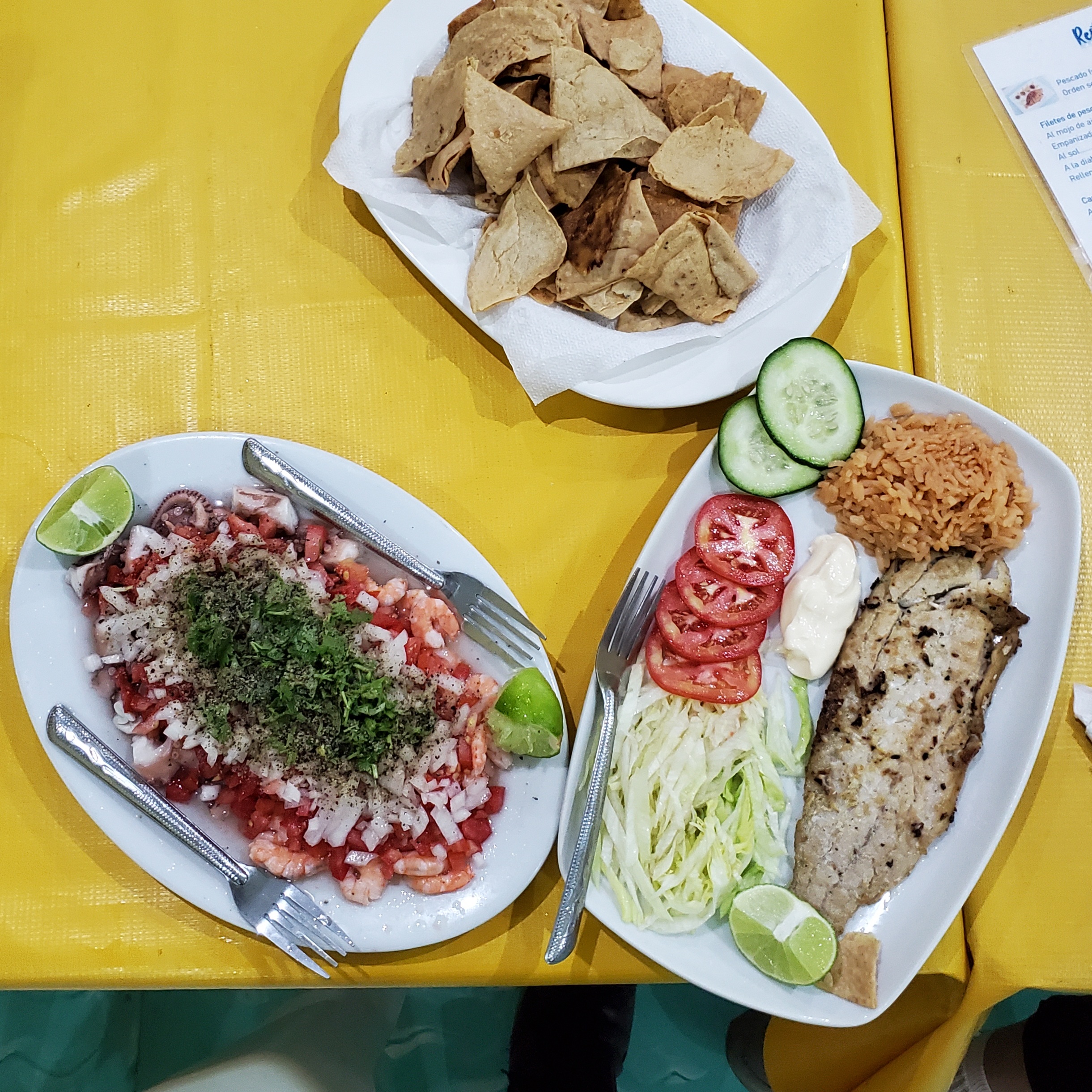 Los Pelicanos image 7