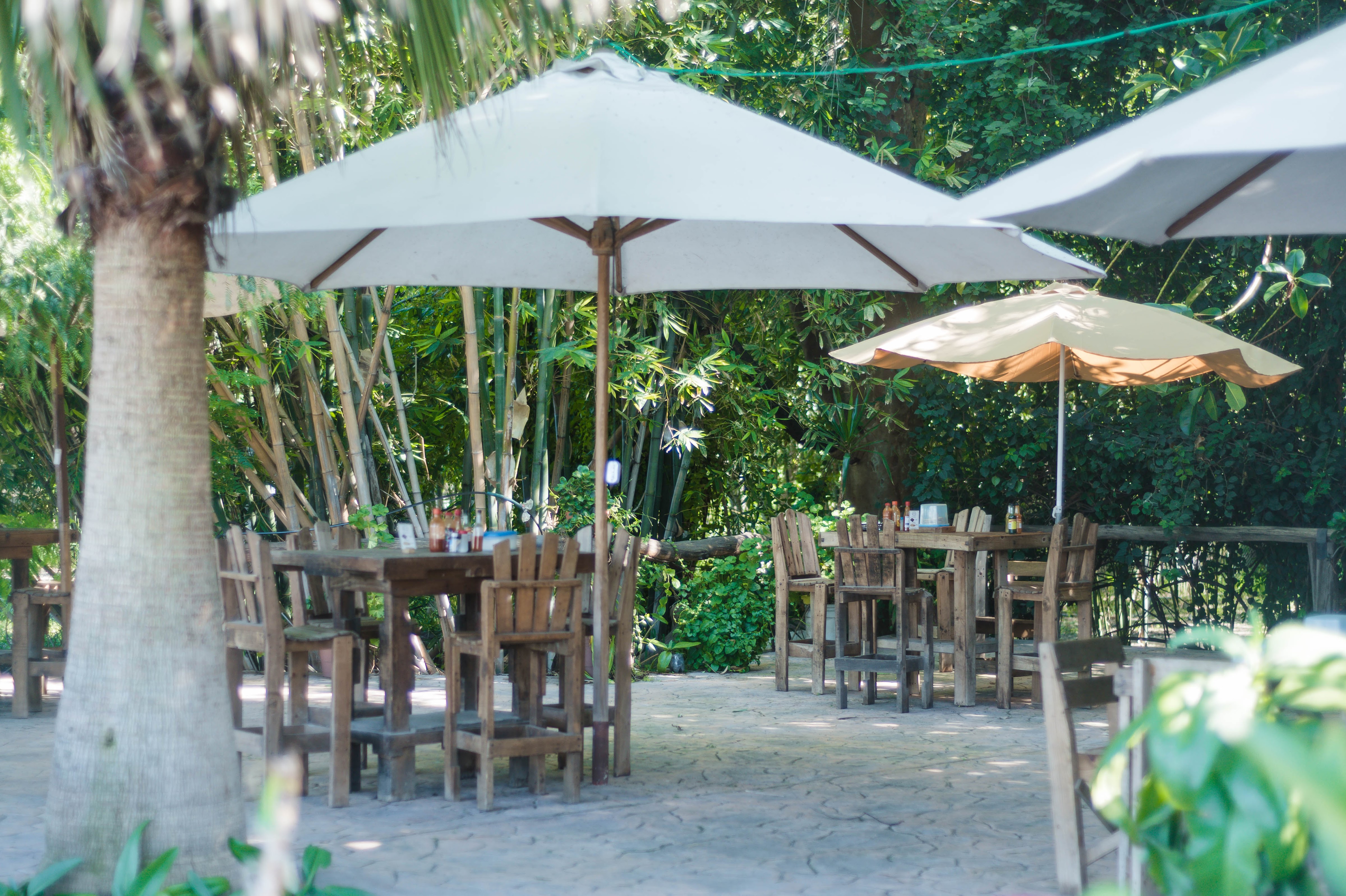 La Cevicheria image 1