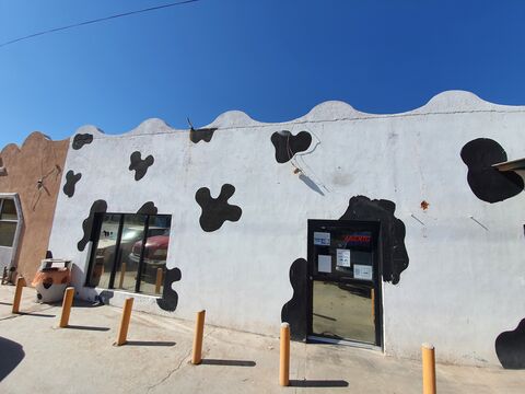 Restaurant Alma image 4