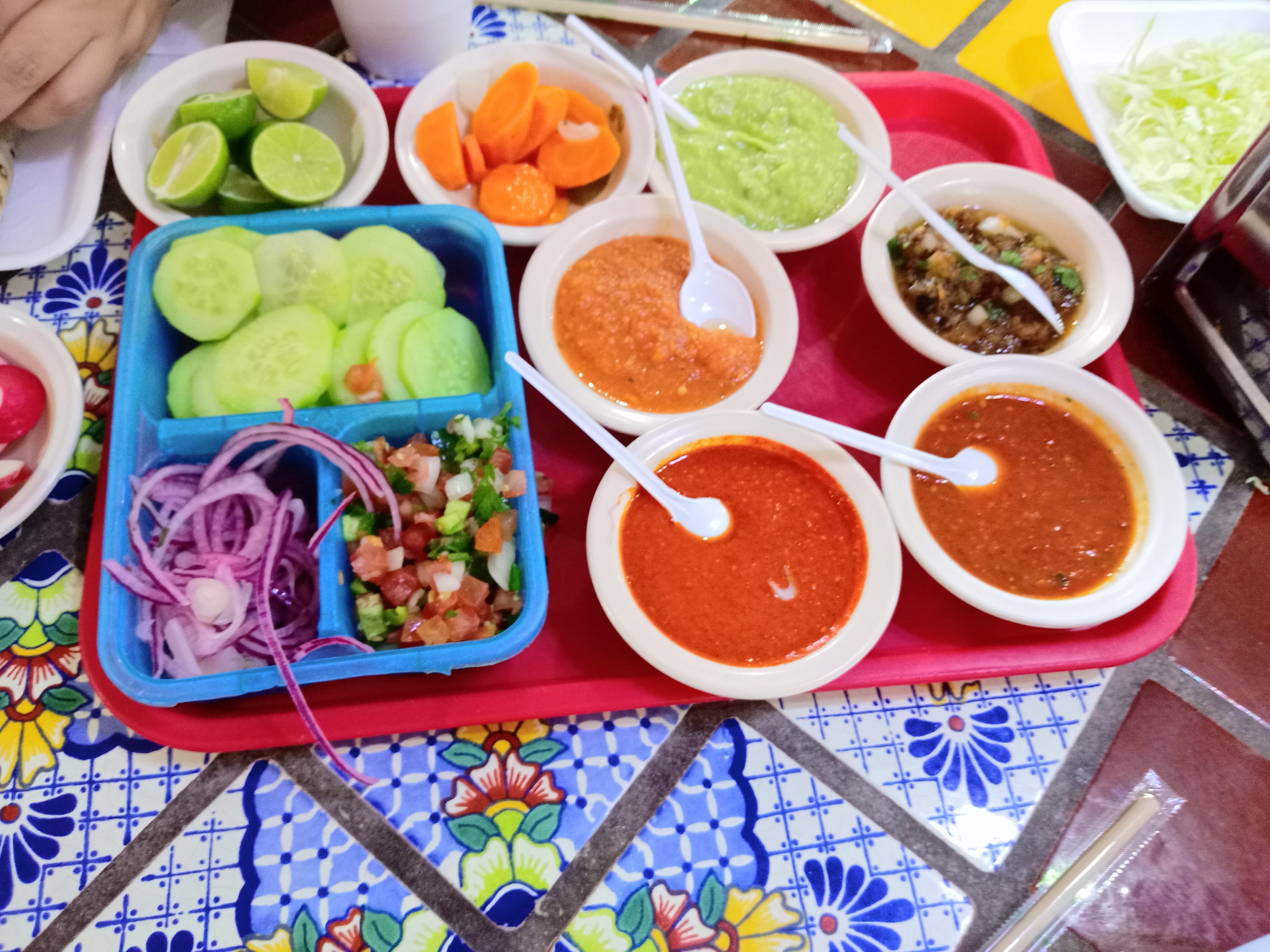 Asadero Leo's image 3