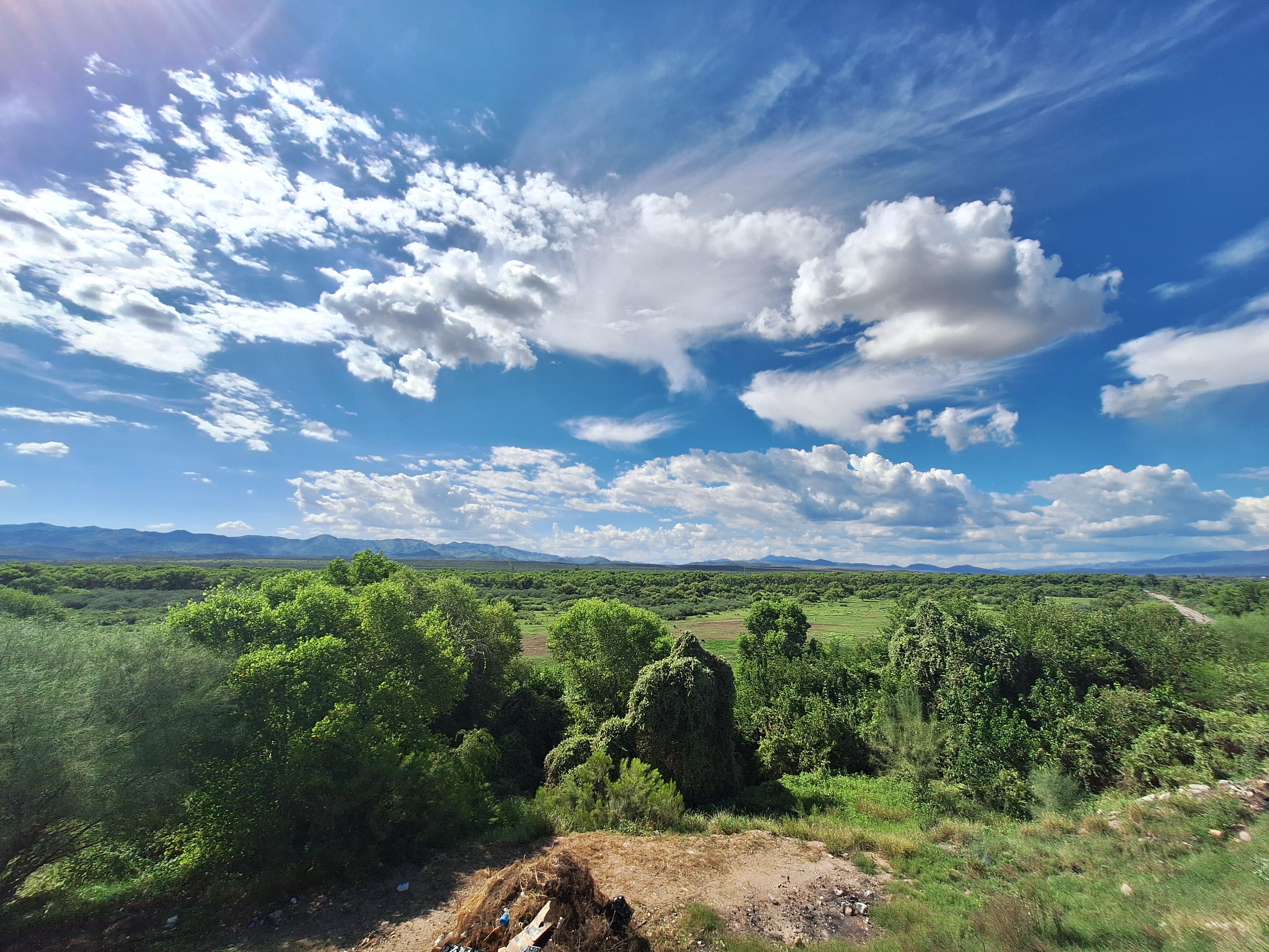 Asadero Leo's image 5