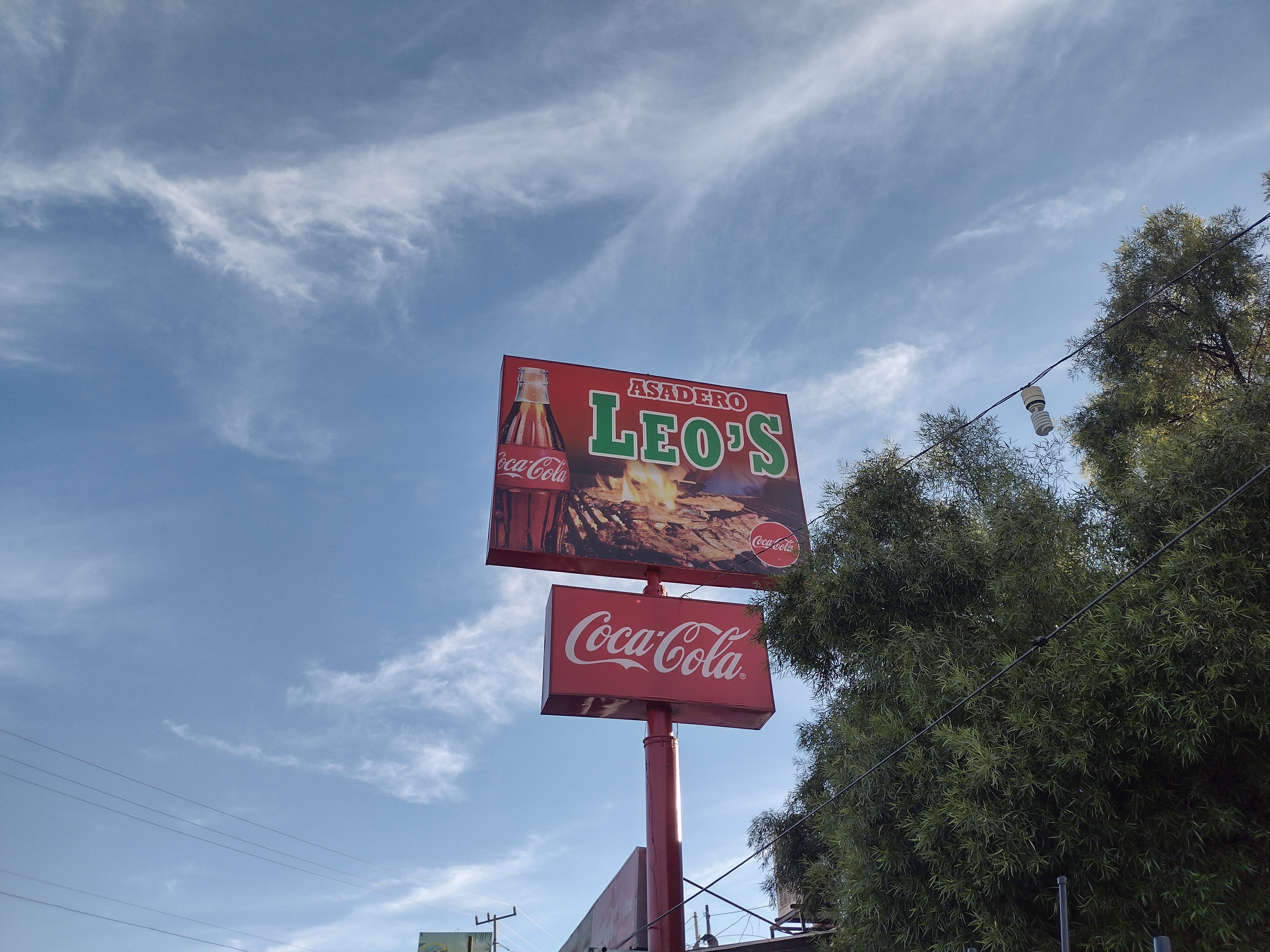 Asadero Leo's image 9