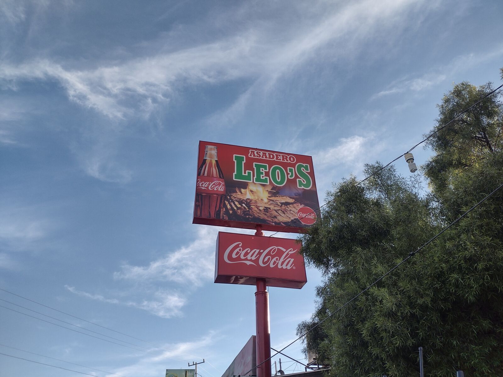 Asadero Leo's image 9