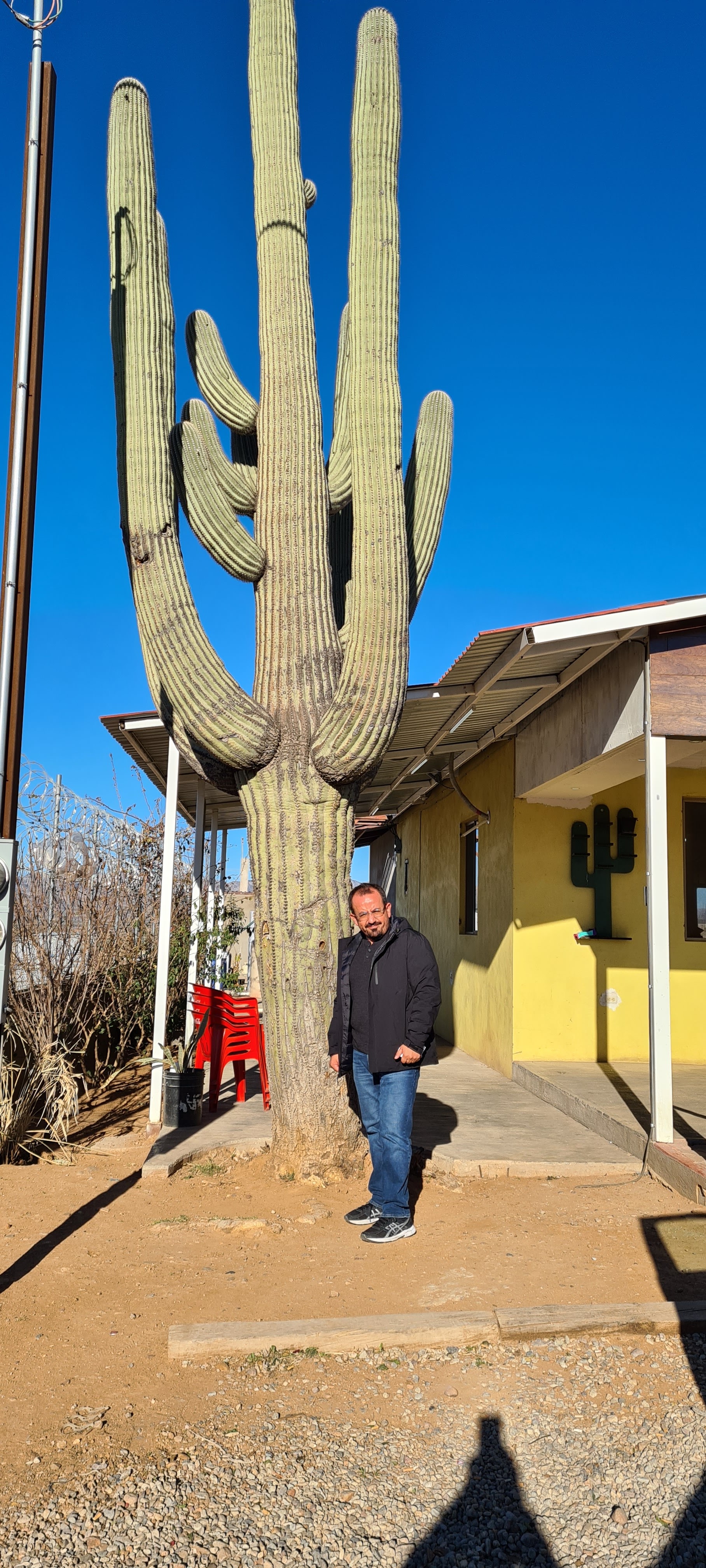 Restaurant El Sahuaro image 10
