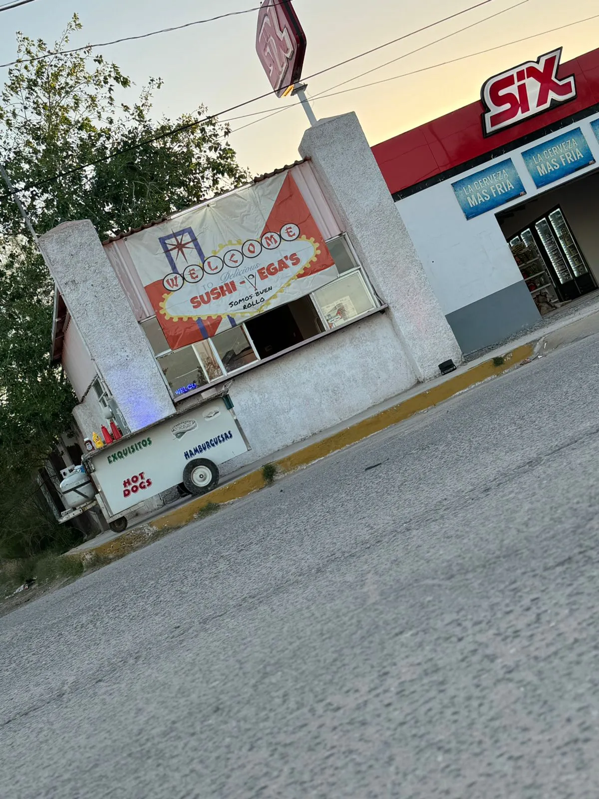 Sushi Vega’s image 7