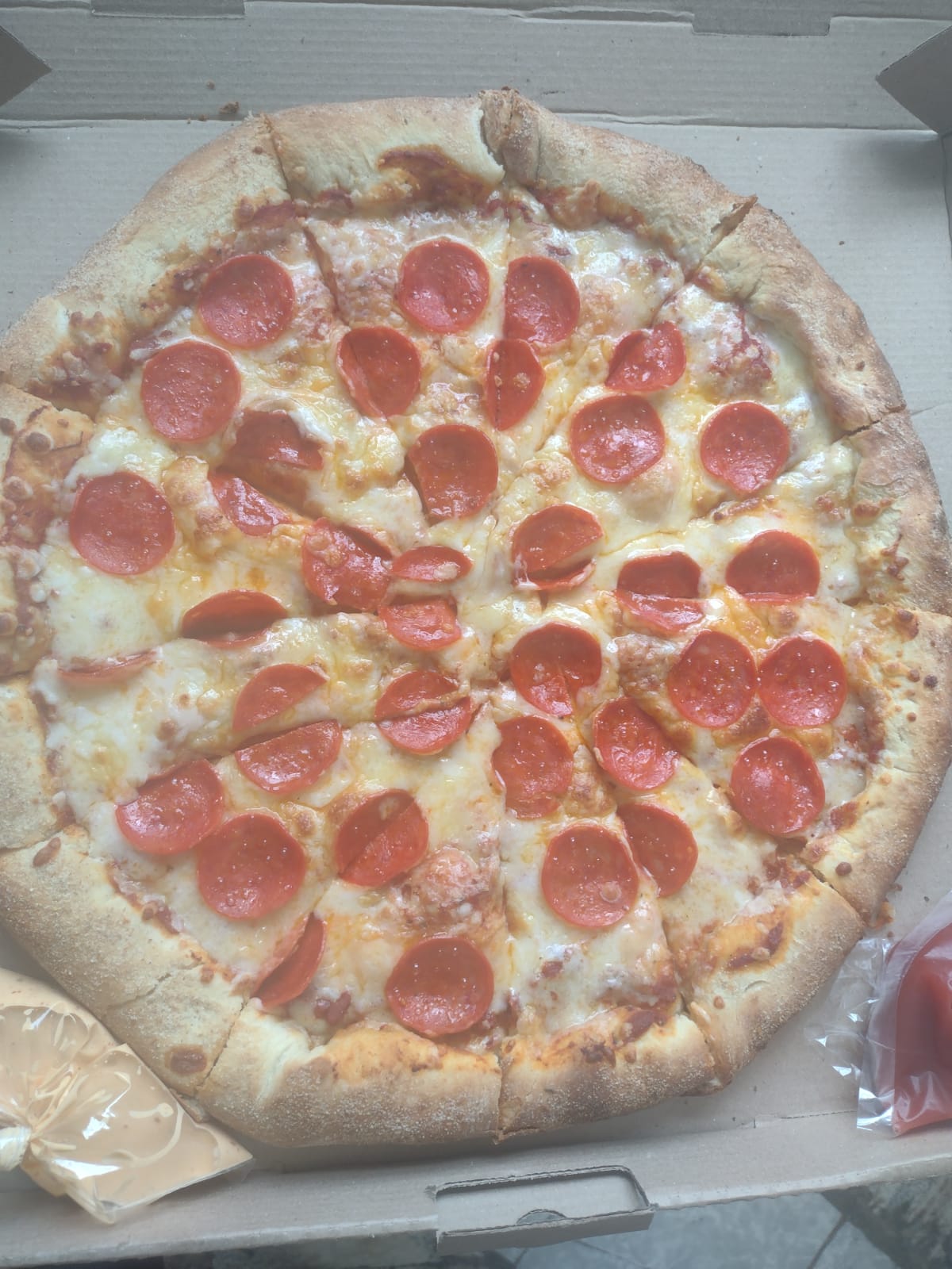 Pizzas Freddy image 1