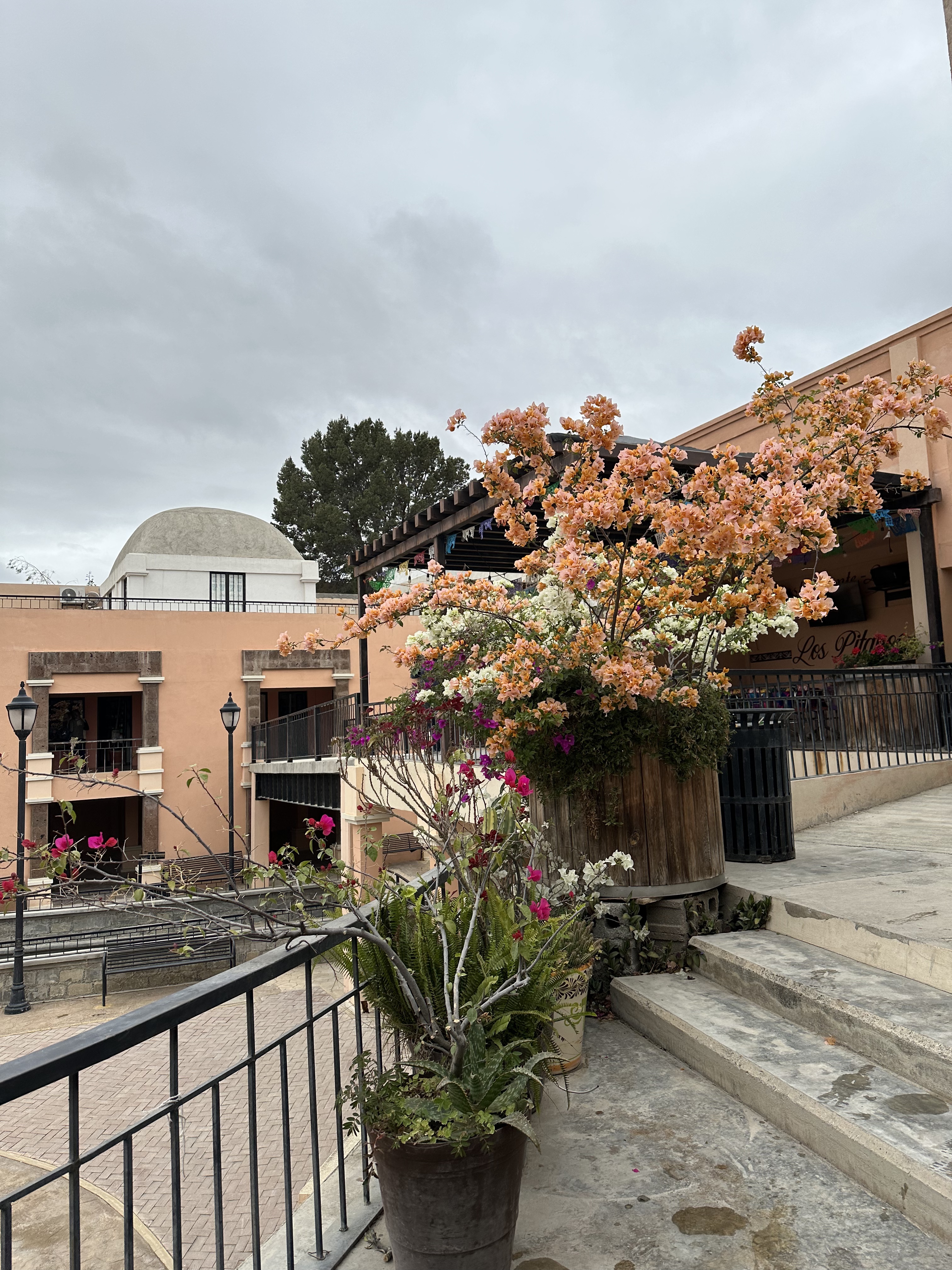 Gorditas 'Don Pedro' image 3