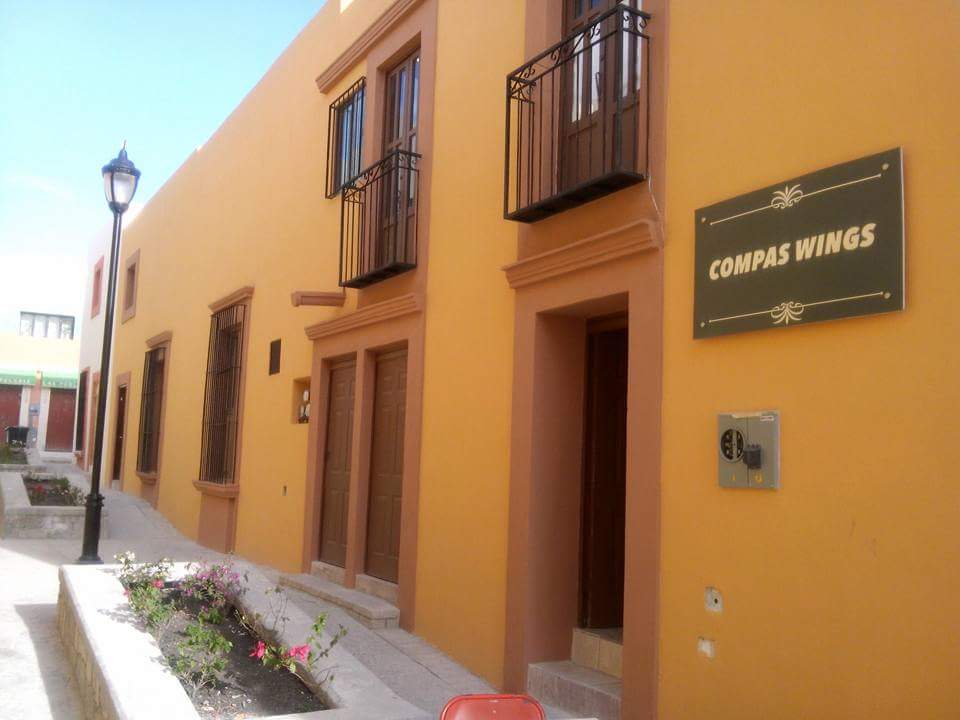 Compas Wings image 1