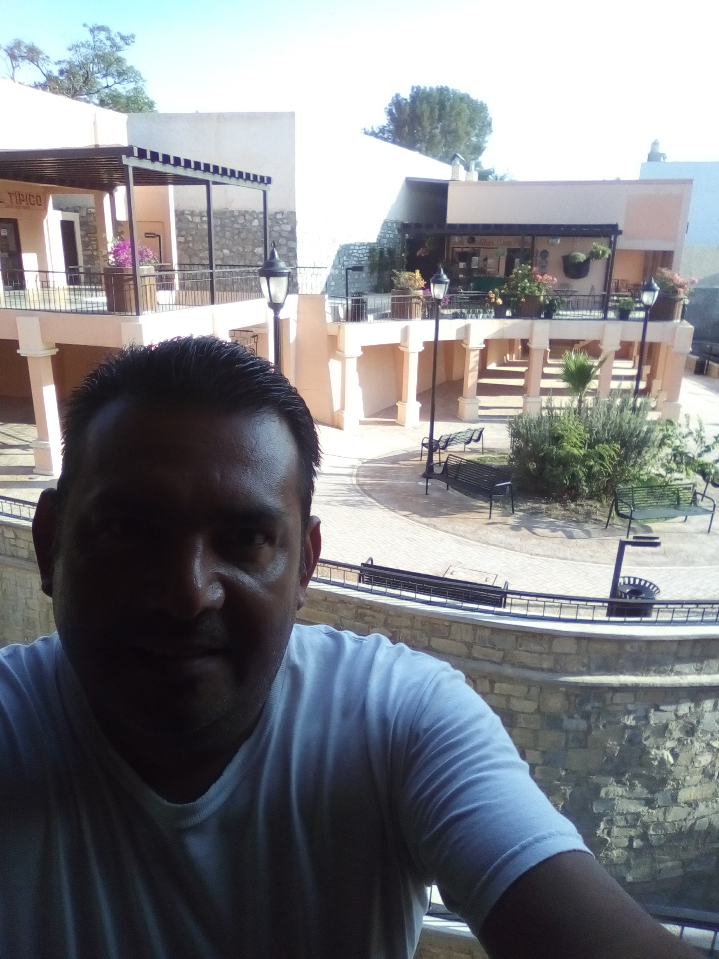 Compas Wings image 3