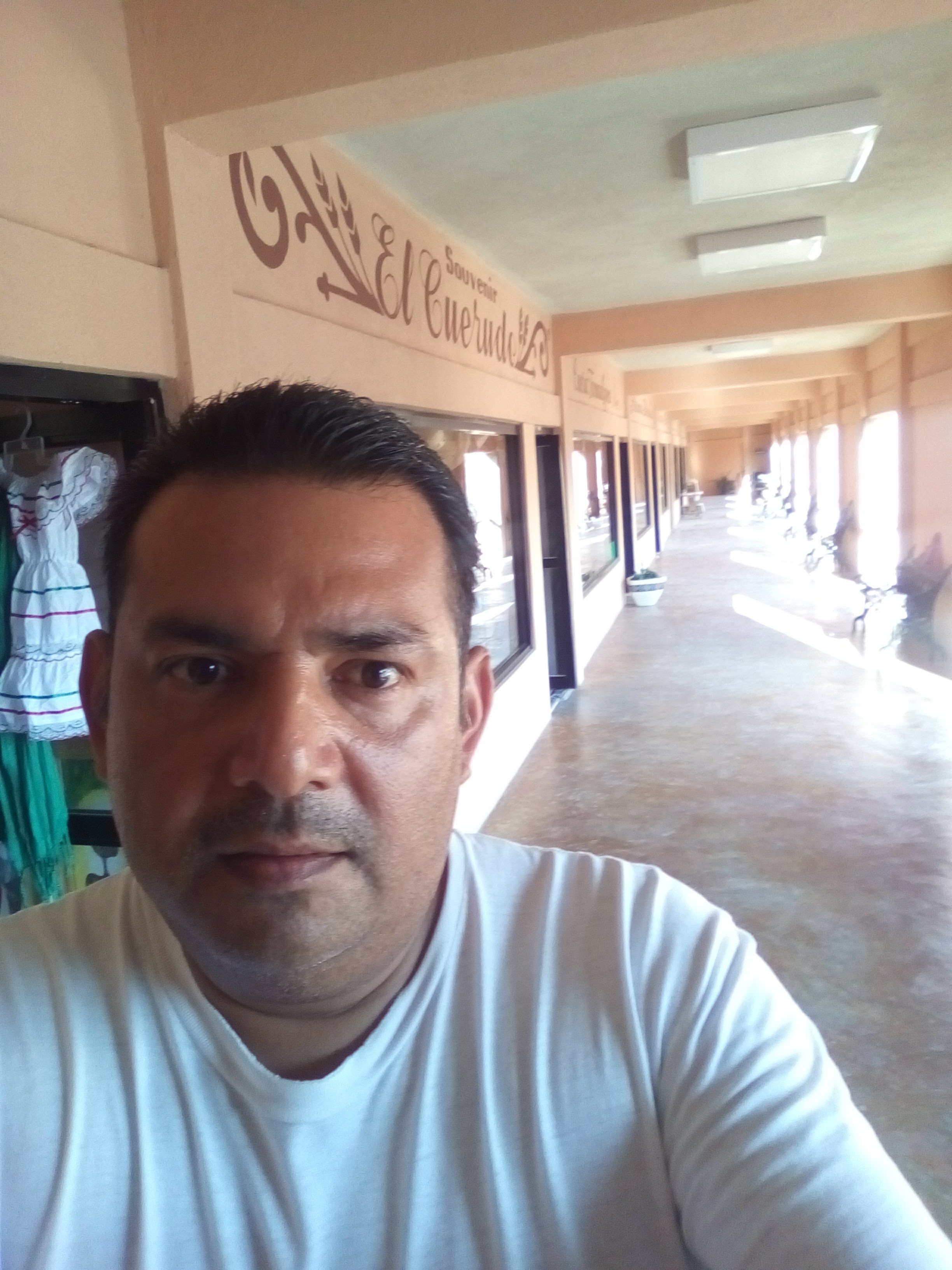 Compas Wings image 6