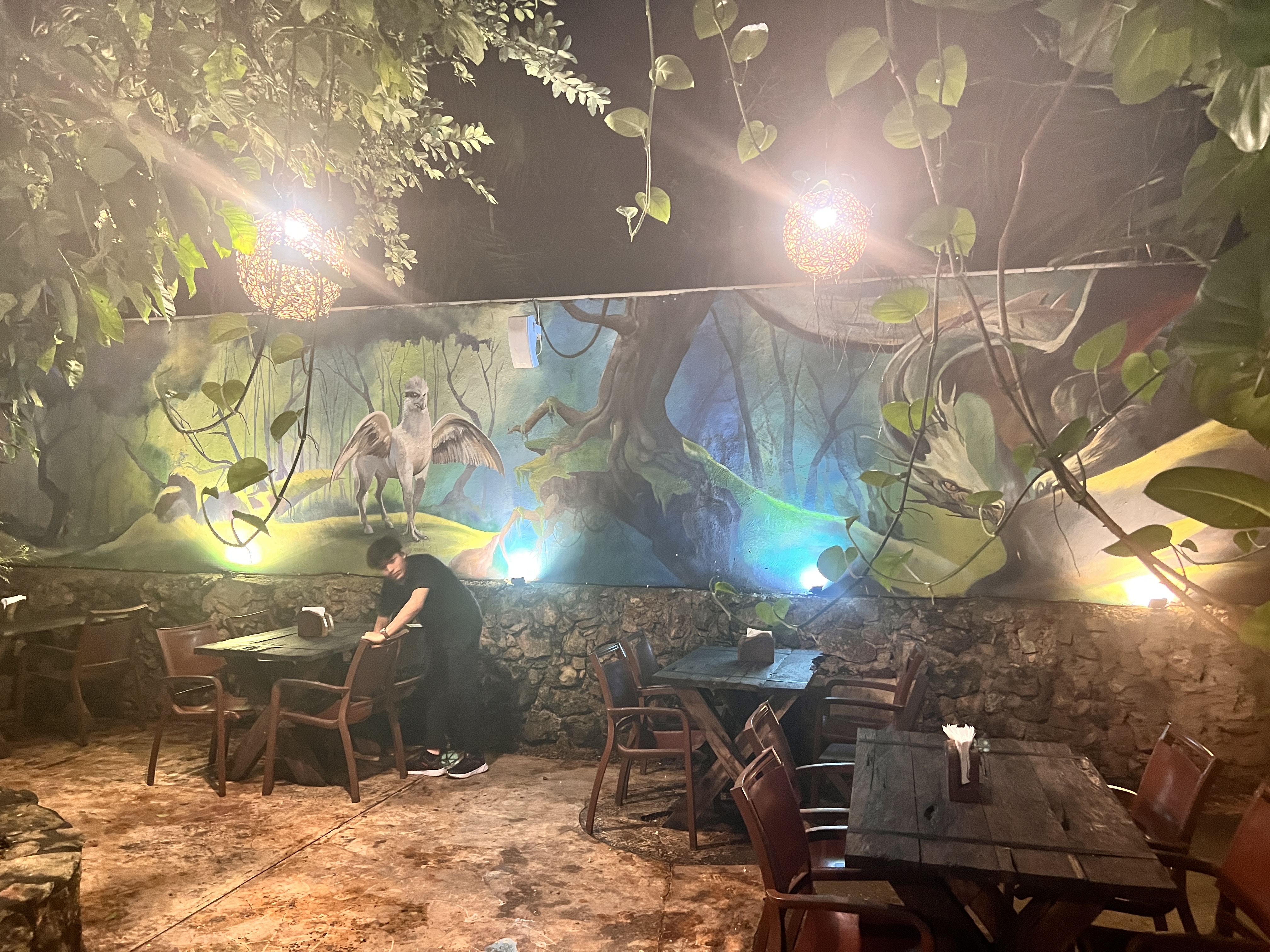 Sköl Tavern image 10