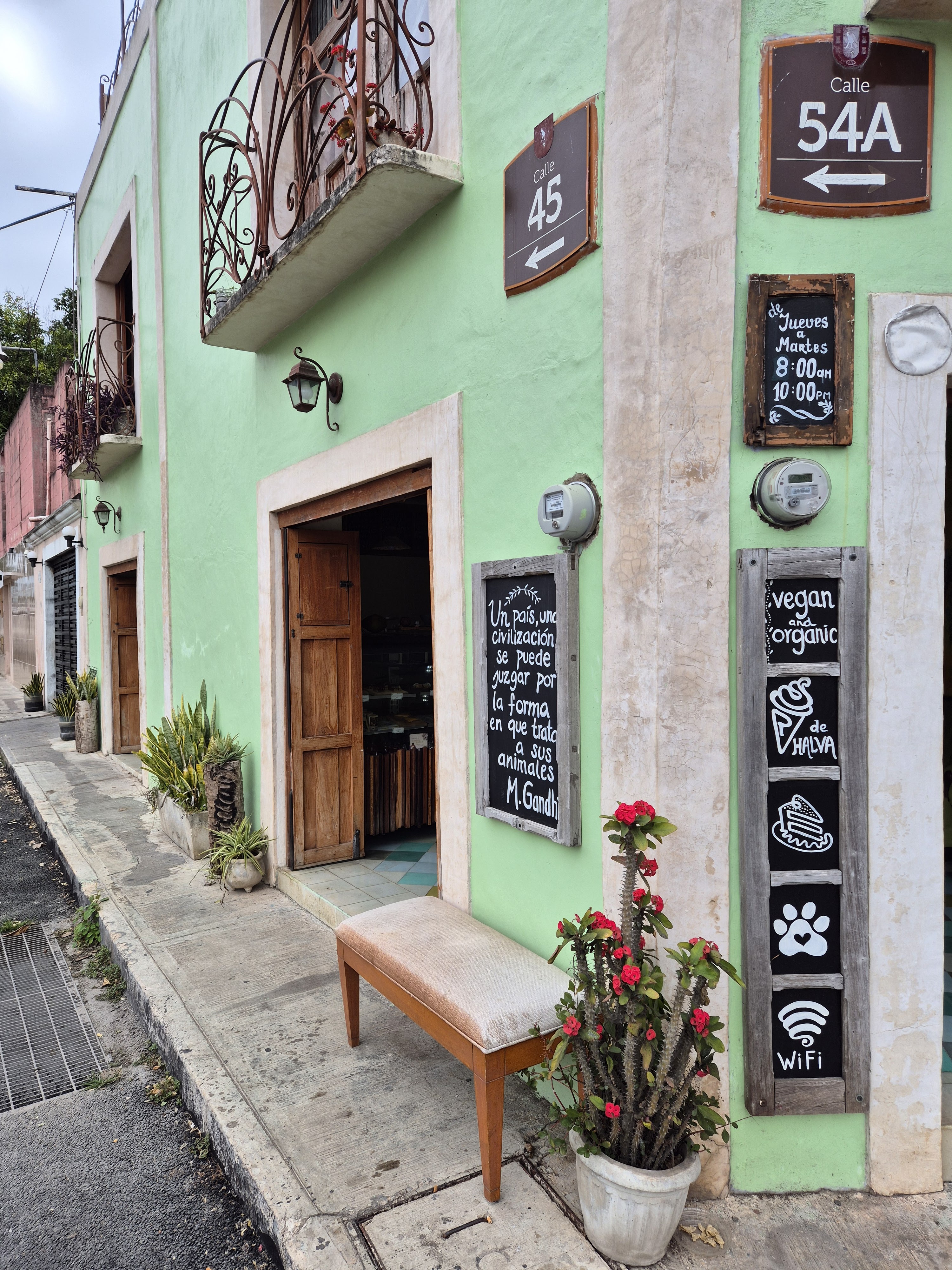 ELELA ORGANIC VEGAN CAFE Y RESTAURANT image 5