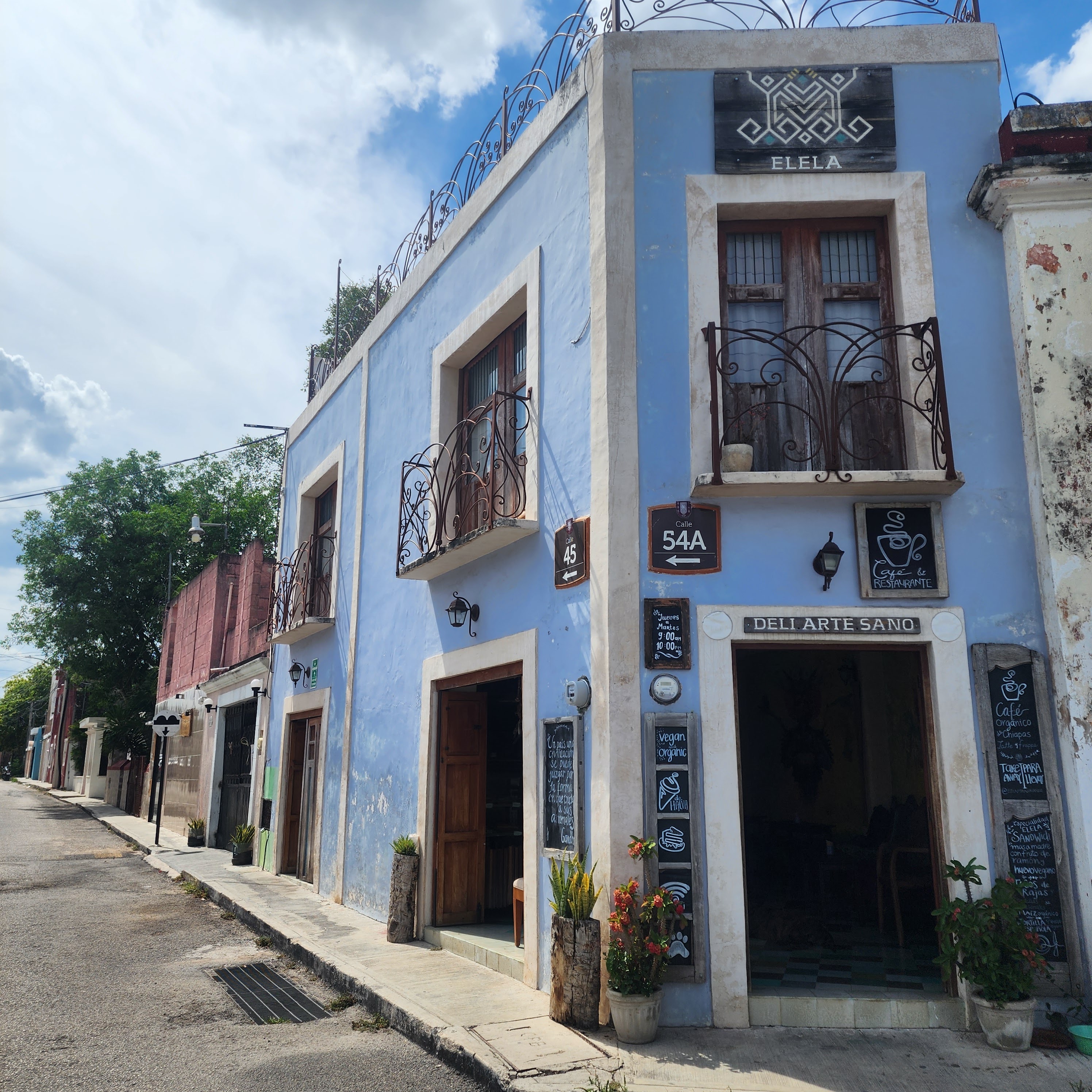 ELELA ORGANIC VEGAN CAFE Y RESTAURANT image 6