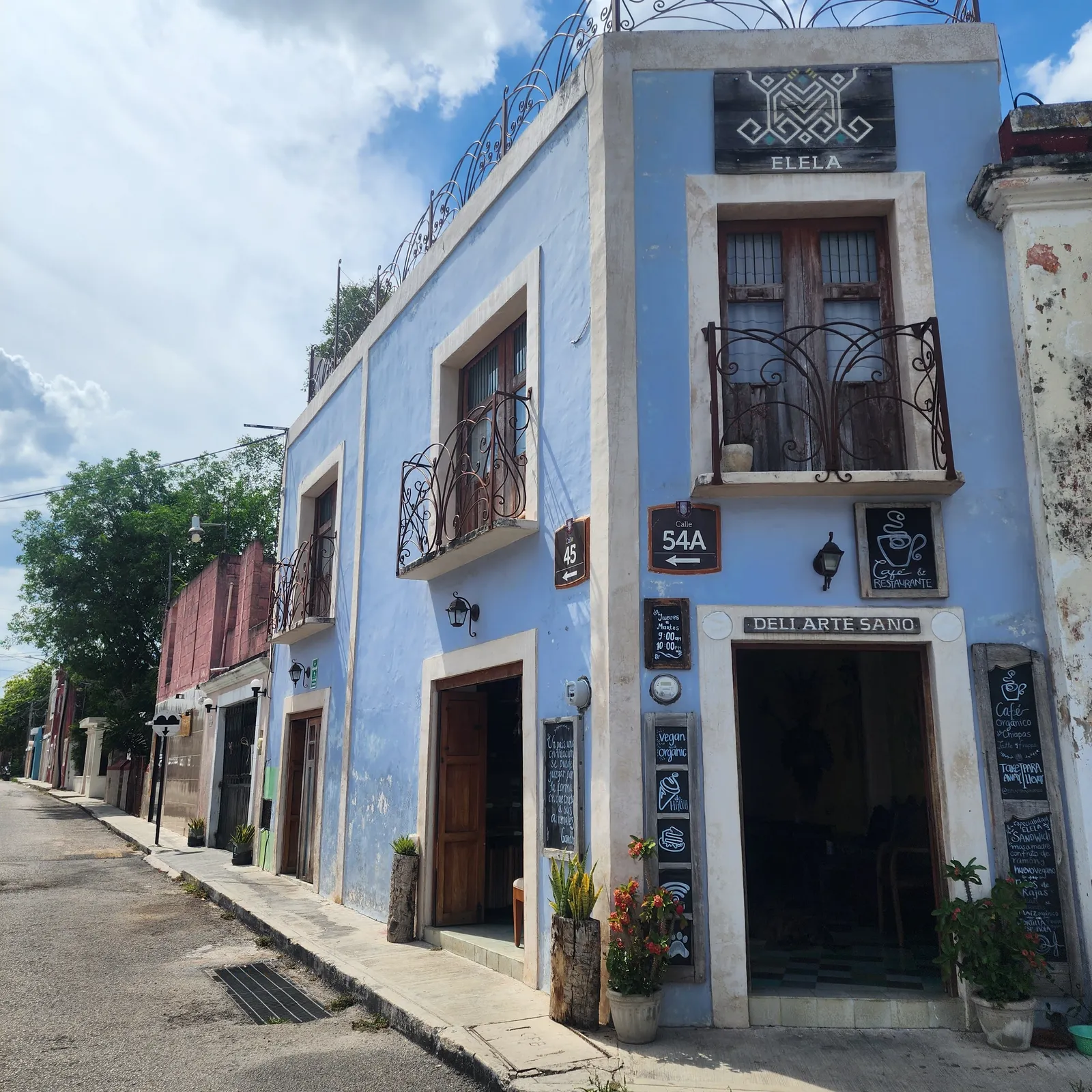 ELELA ORGANIC VEGAN CAFE Y RESTAURANT image 6