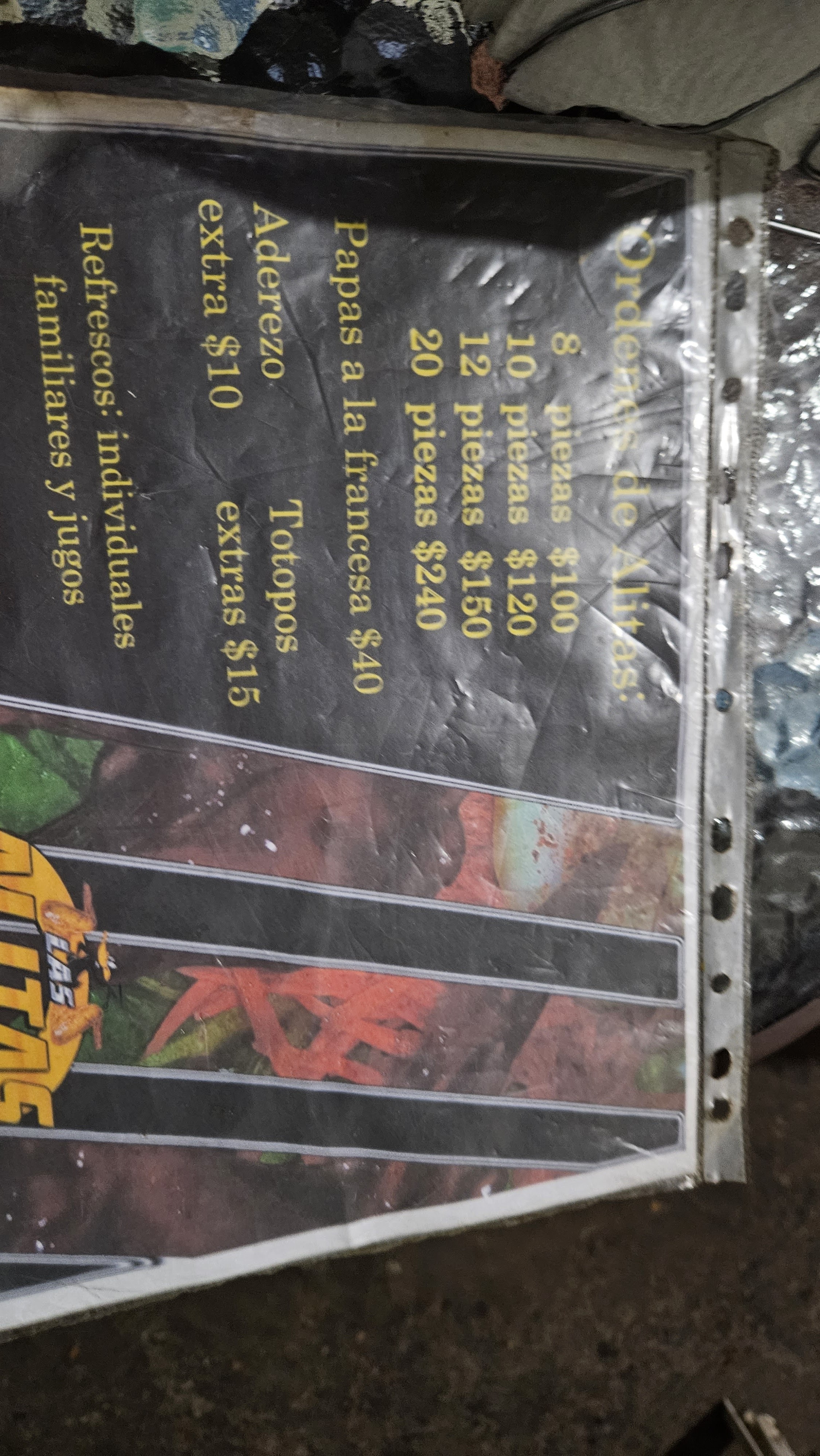 Alitas del pato image 2