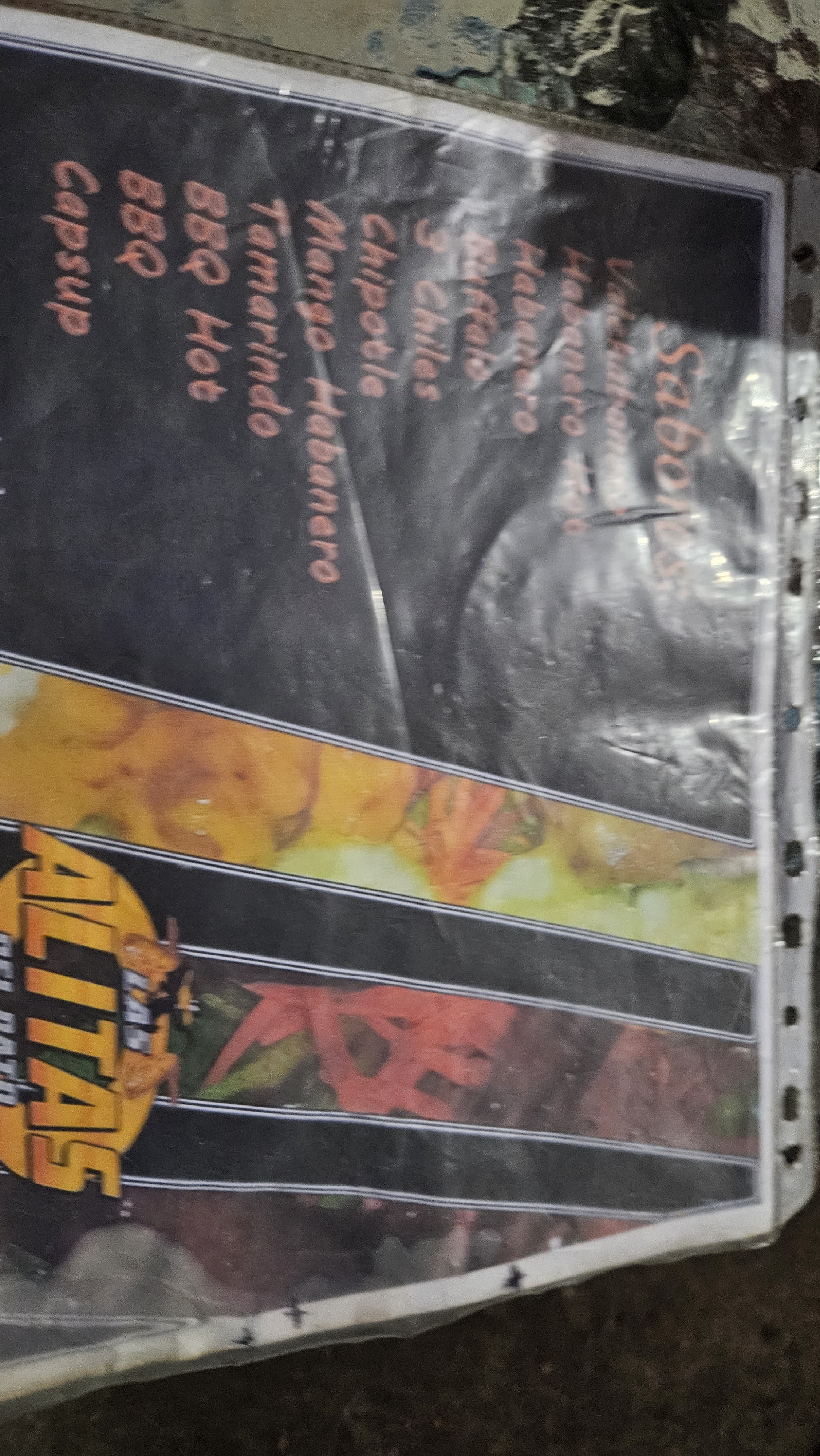 Alitas del pato image 5