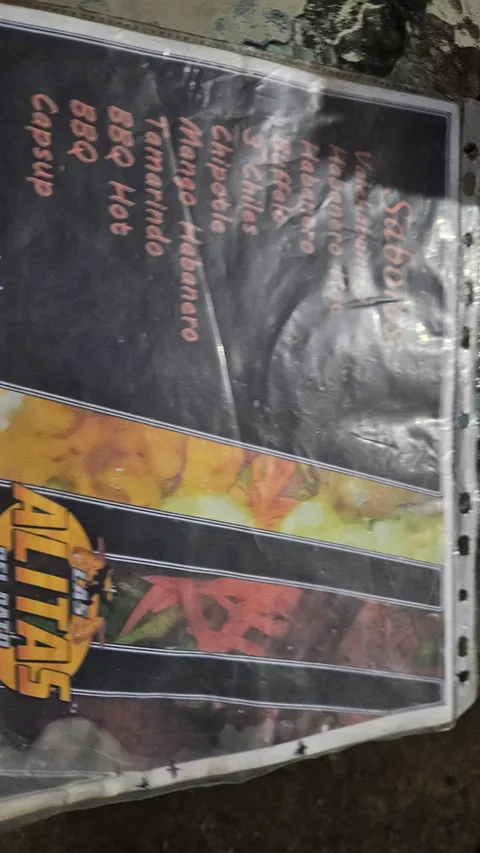 Alitas del pato image 5