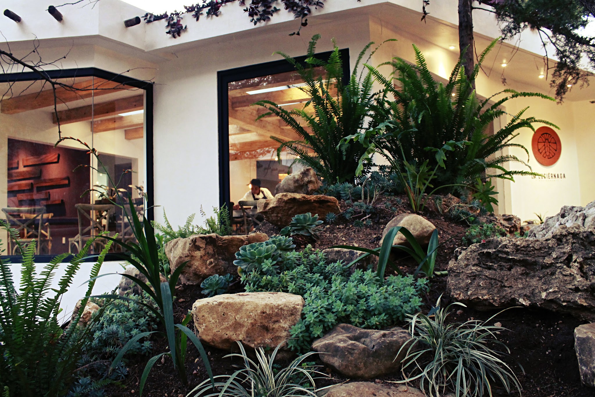 La Luciérnaga image 3