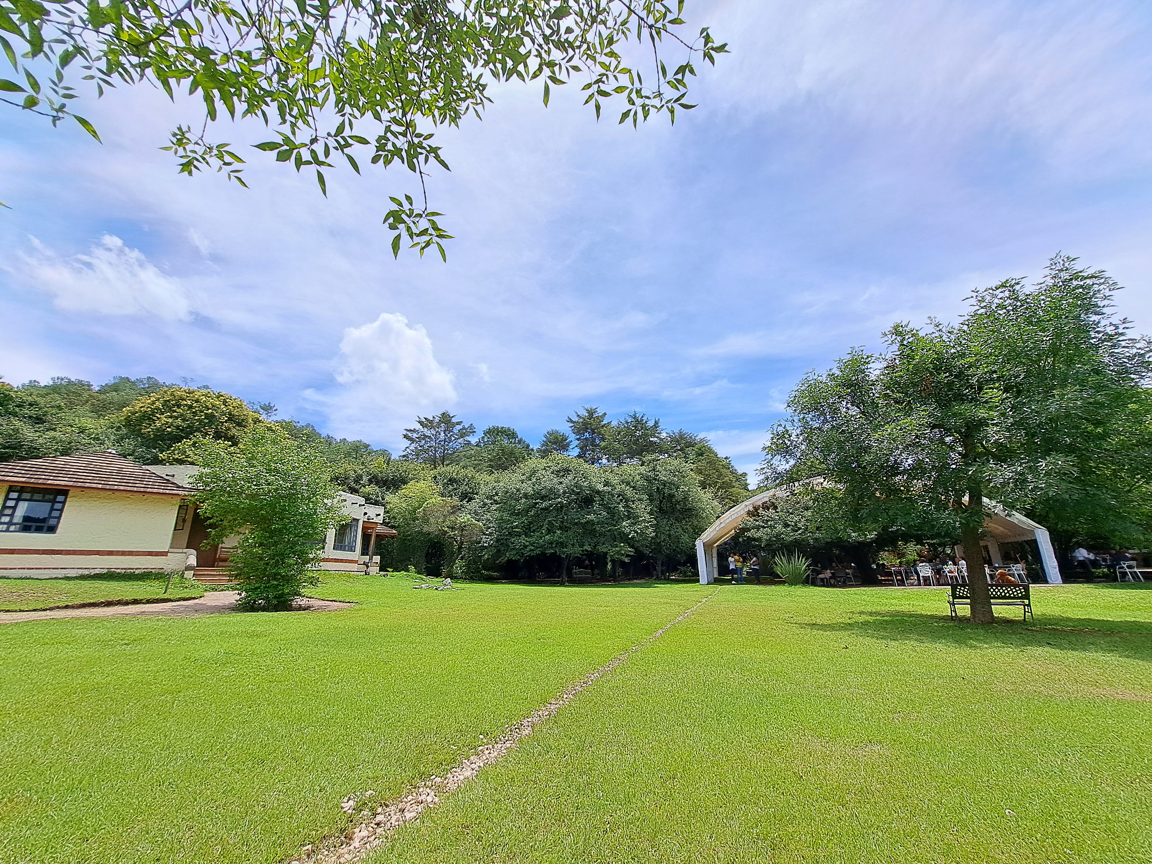 La Luciérnaga image 5