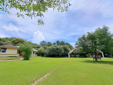 La Luciérnaga image 5